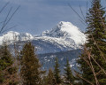 8420 Matterhorn Drive image 13