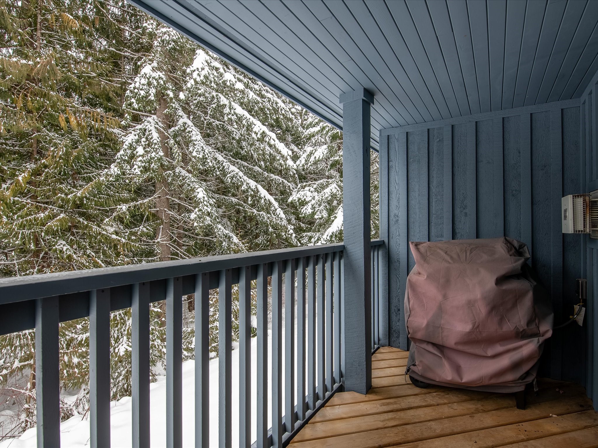 4-3102 Panorama Ridge image 7