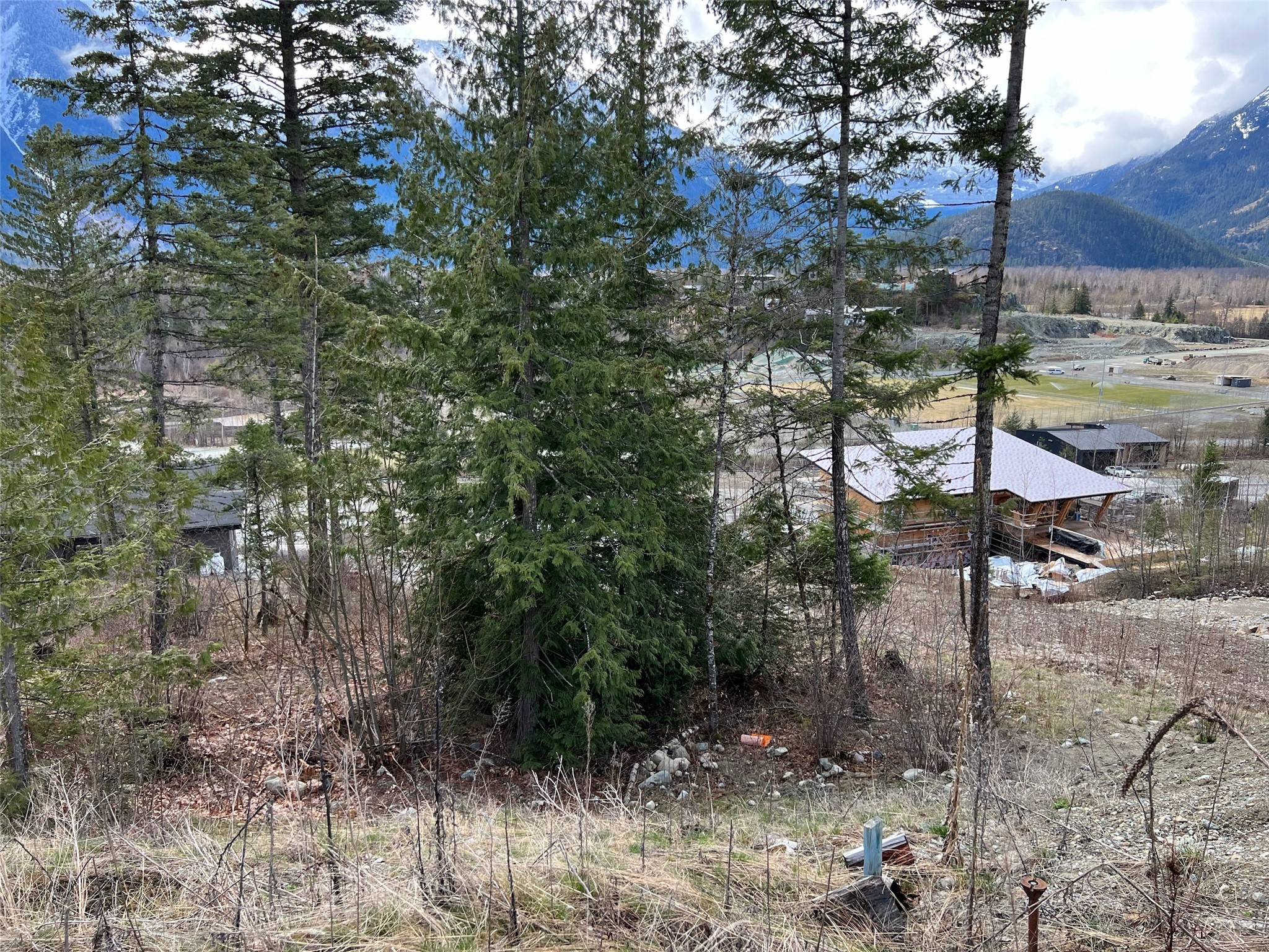 7677 Cerulean Drive image 3