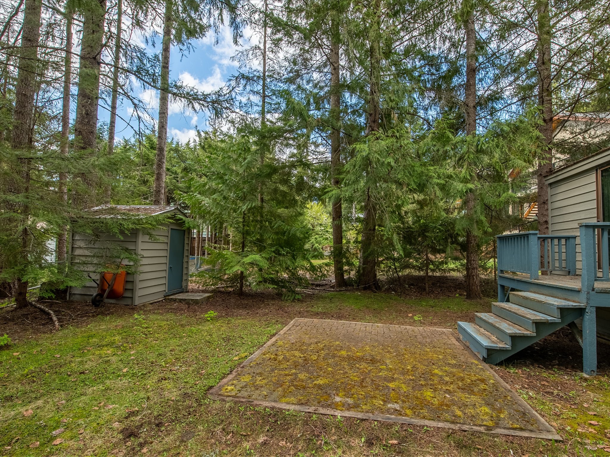 8308 Needles Drive image 30