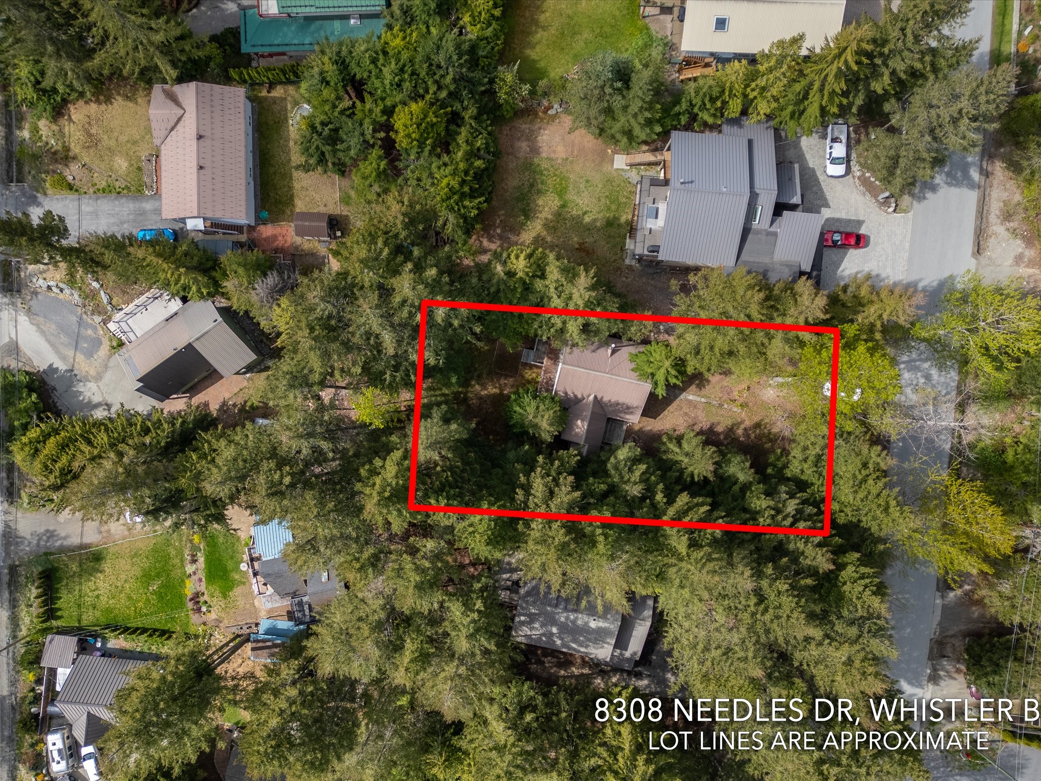 8308 Needles Drive image 34