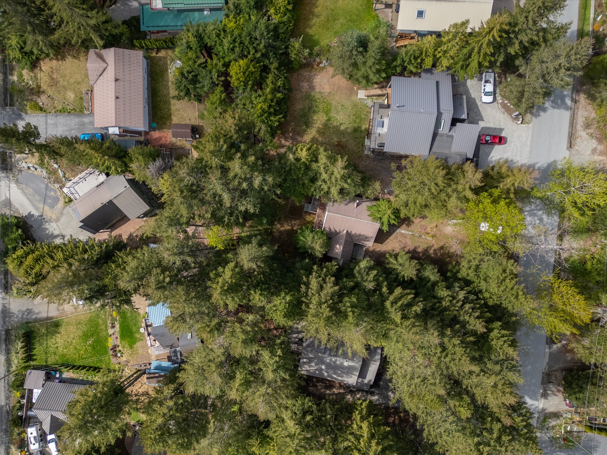 8308 Needles Drive image 35