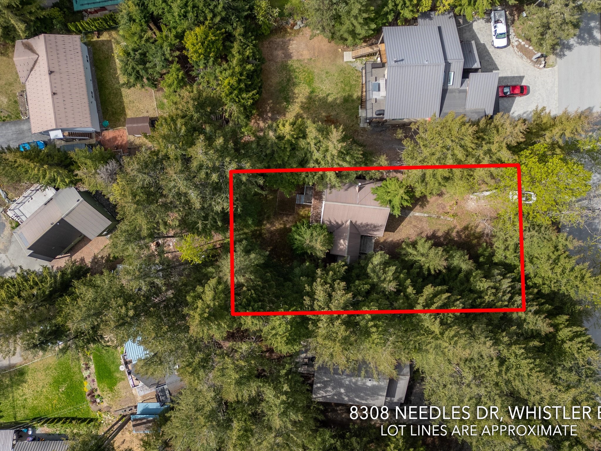 8308 Needles Drive image 36