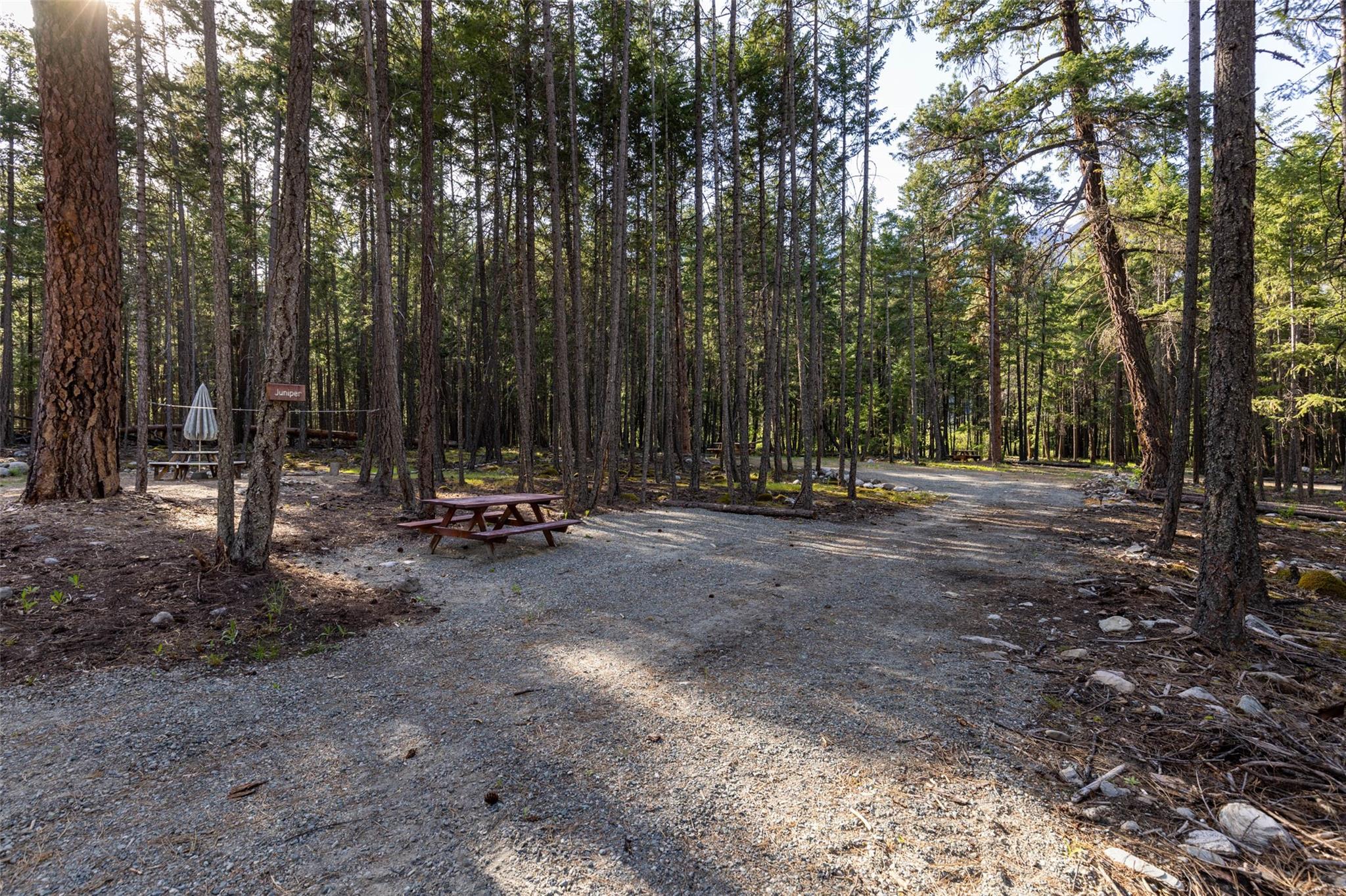 6-9866 Pemberton Portage Road image 31