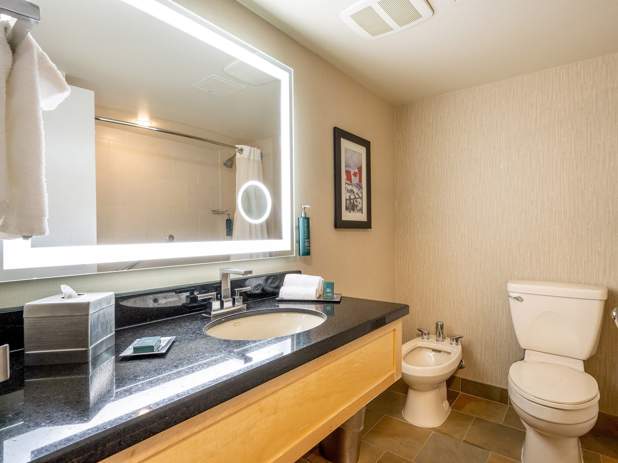 210/212-4050 Whistler Way image 5