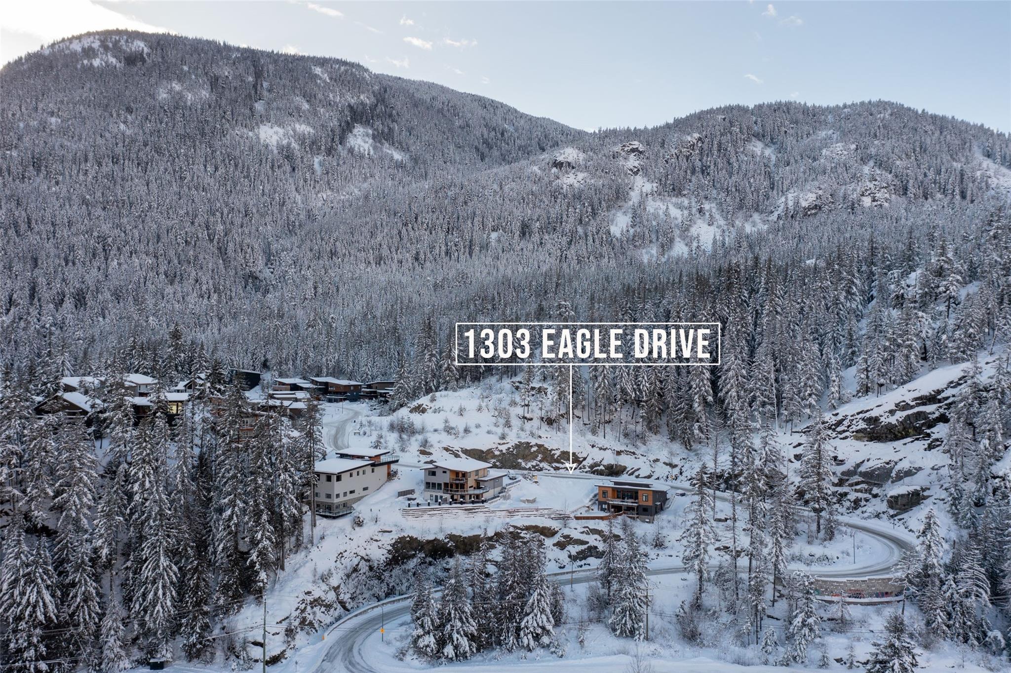 1303 Eagle Drive image 36