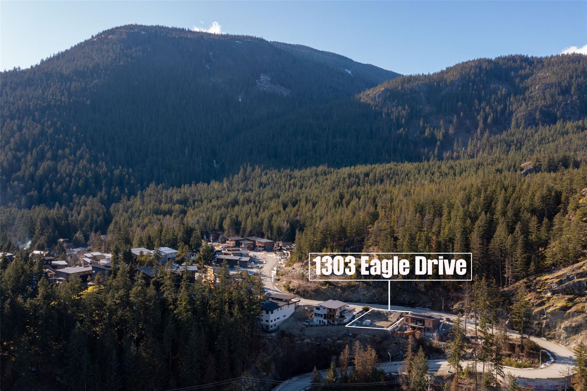1303 Eagle Drive image 3