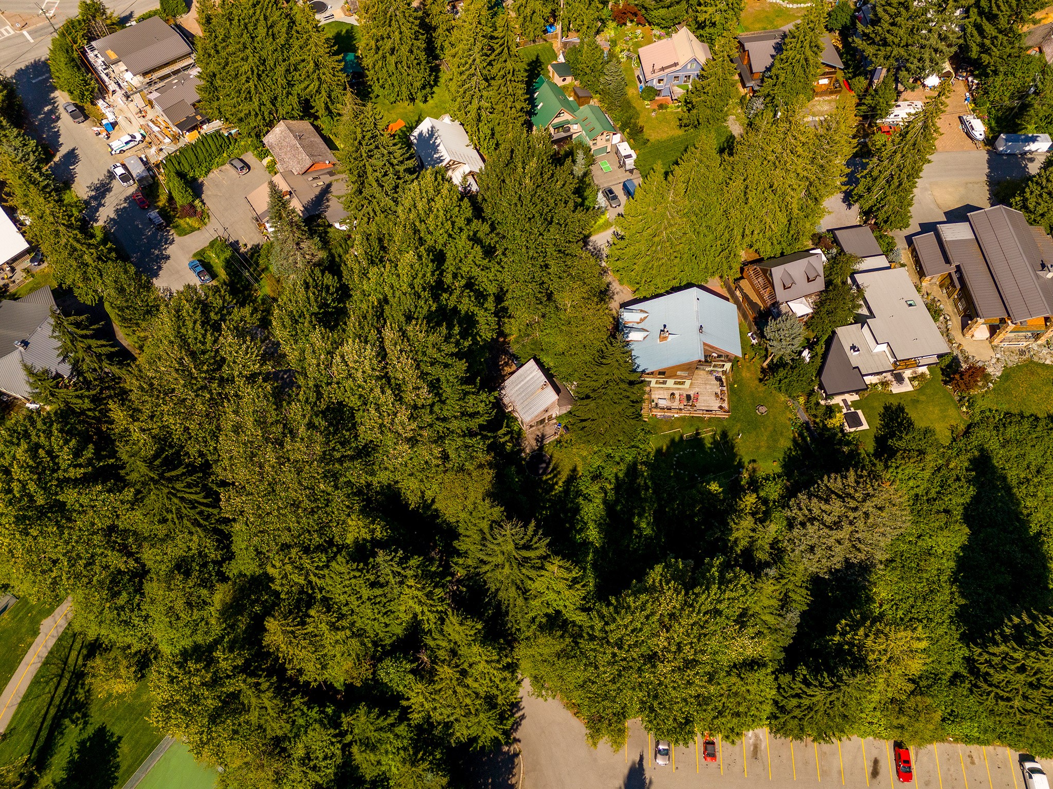 8109 Cedar Springs Road image 9