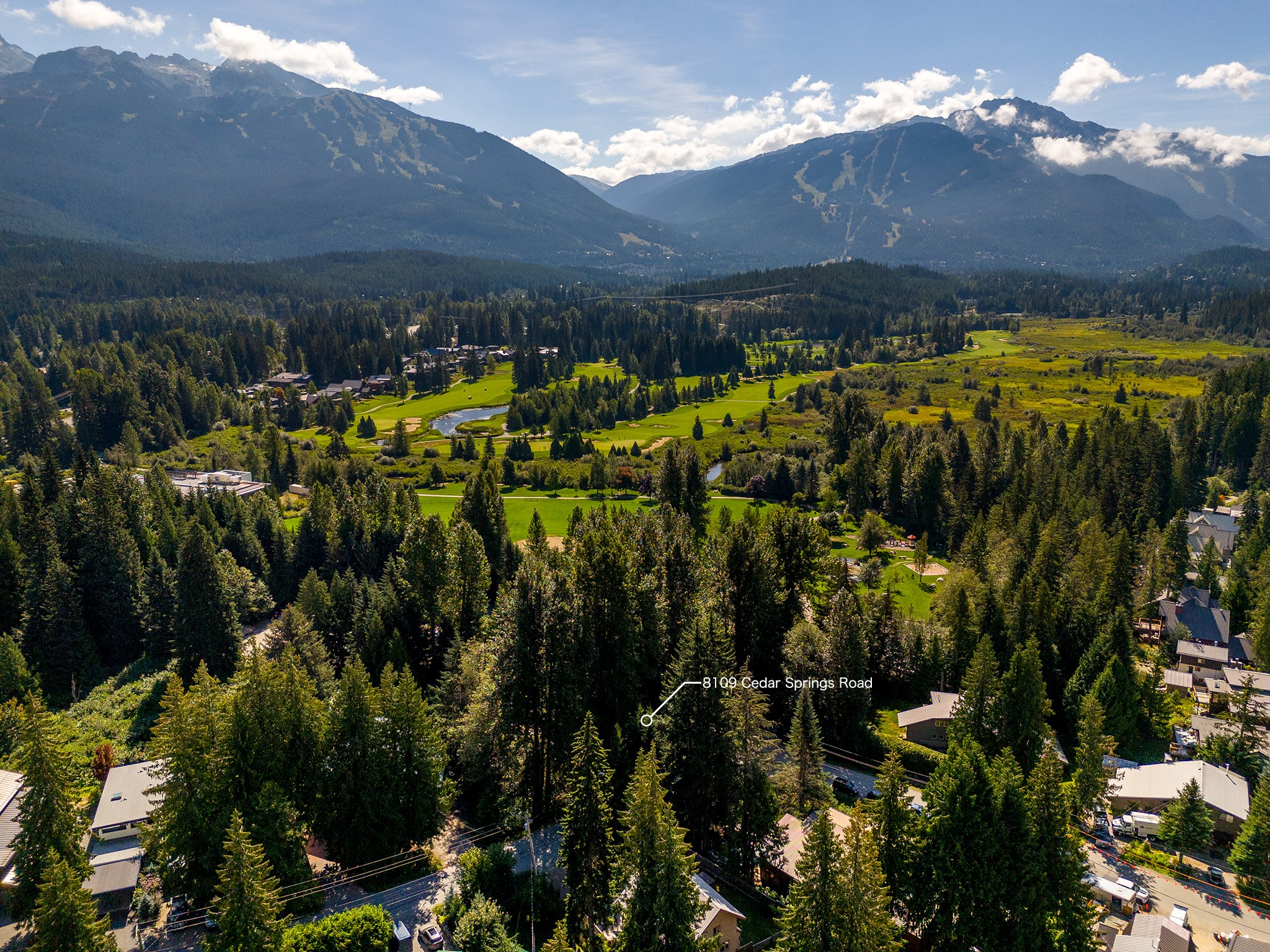 8109 Cedar Springs Road image 5