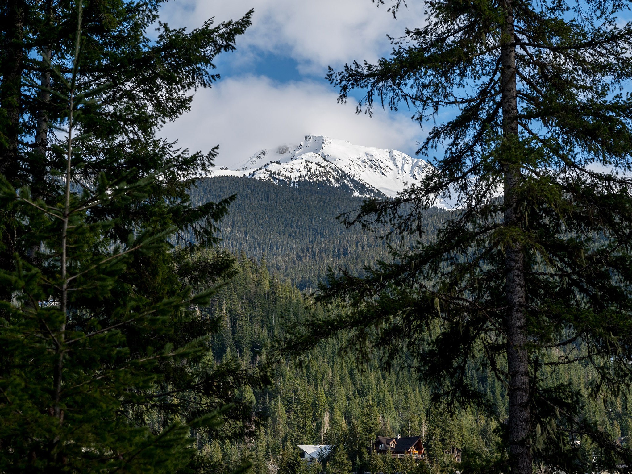 5221 Jordan Lane image 39