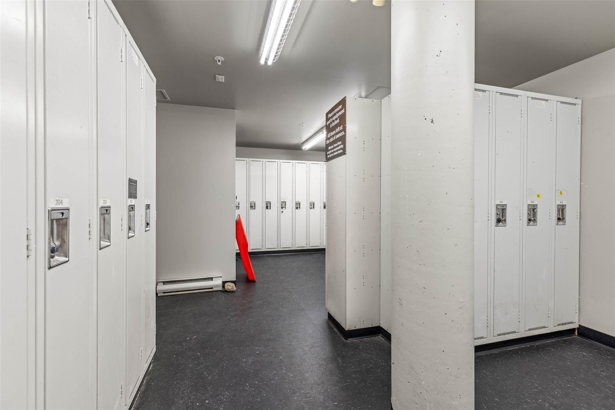 203-4314 Main Street image 20