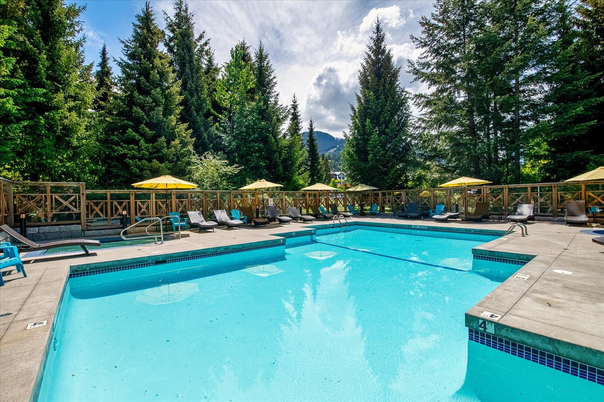 1266-4308 Main Street image 11