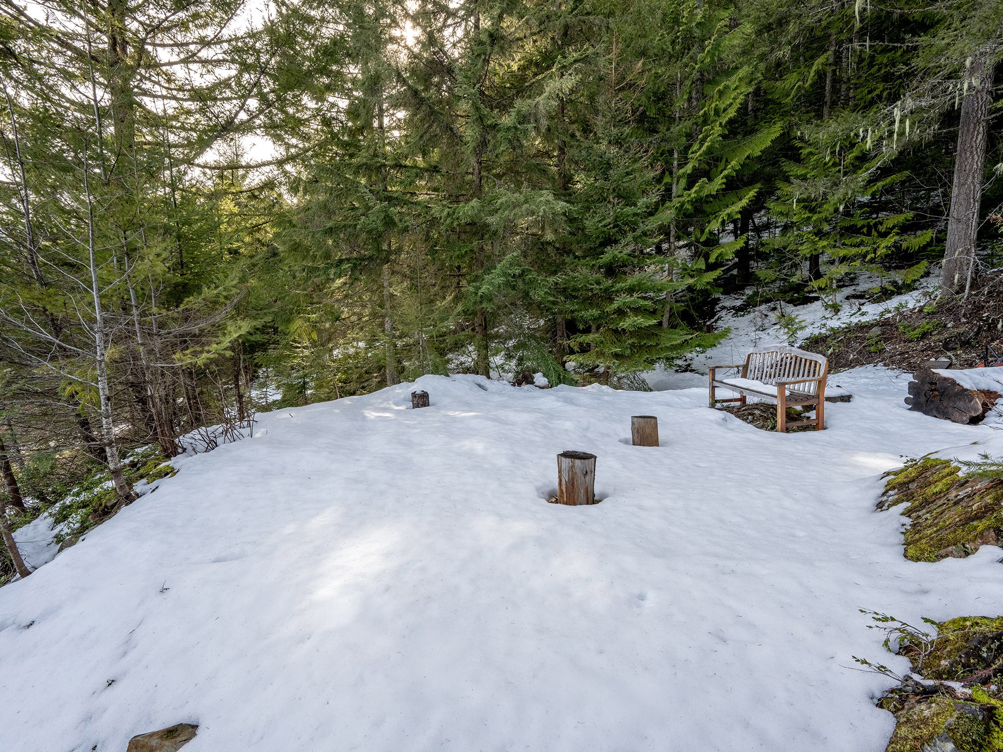 8706 Wedgeview Place image 22