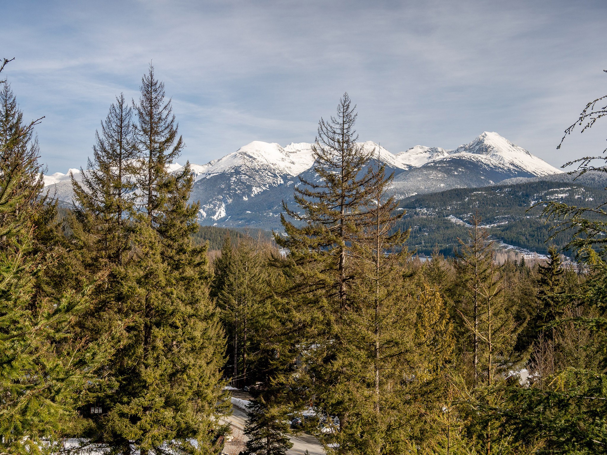 8706 Wedgeview Place image 8