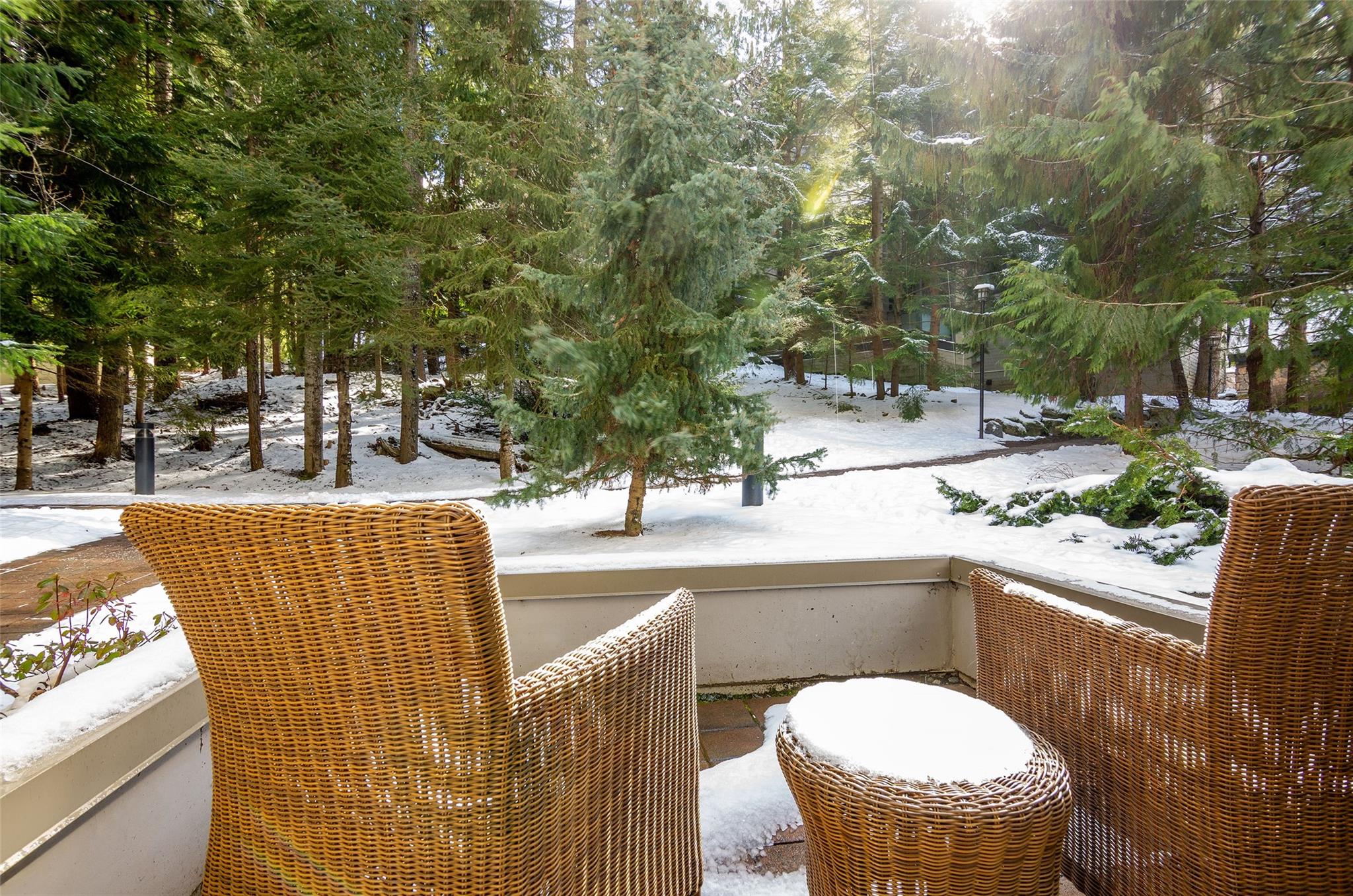 369-4090 Whistler Way image 5