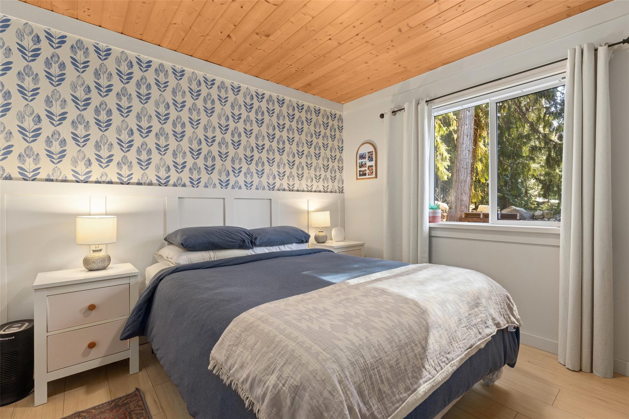 144-6500 In-Shuck-Ch Forest Service Road image 14