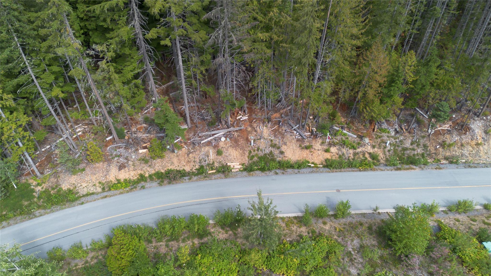 8566 Ashleigh Mcivor Drive image 10