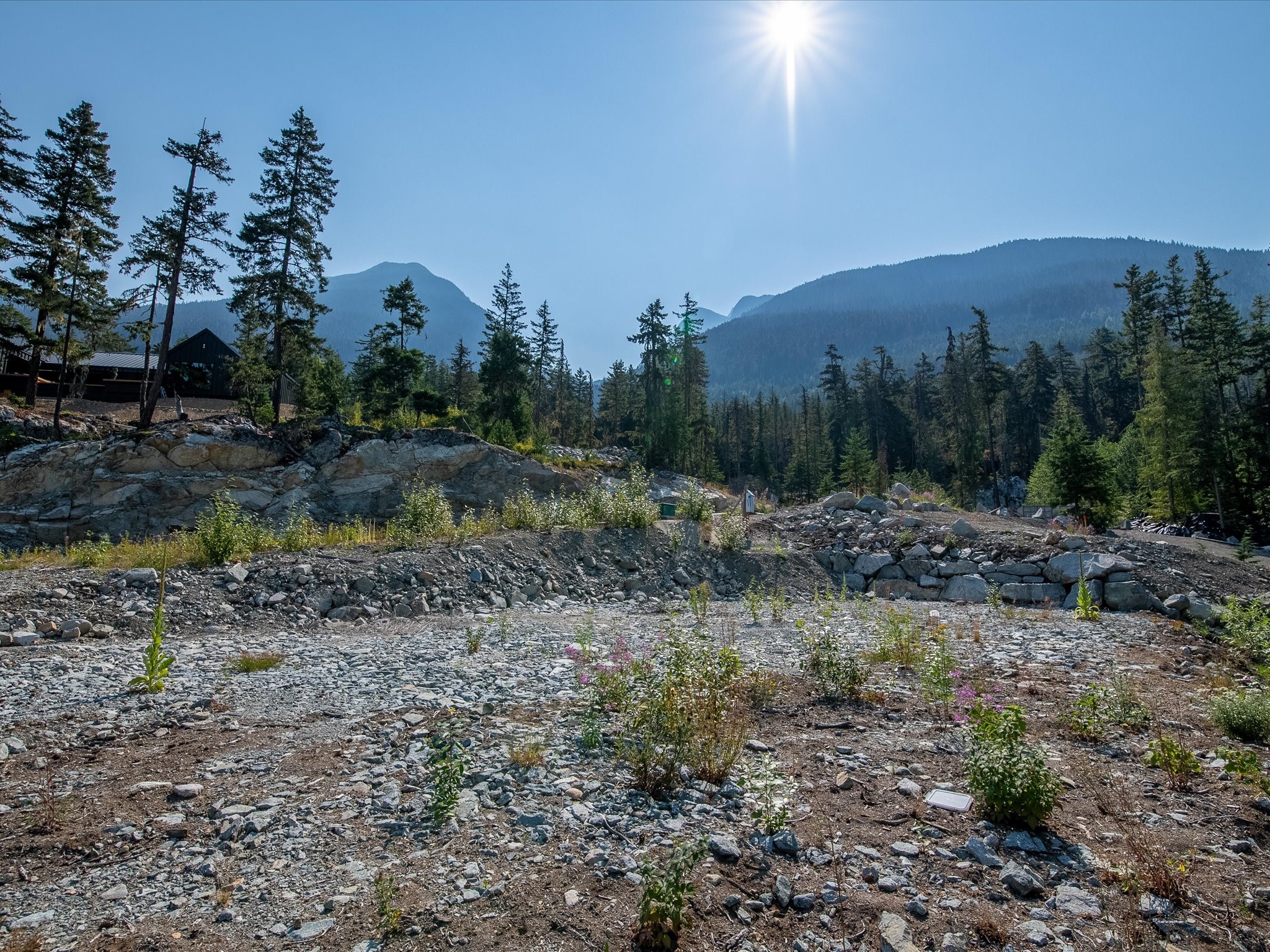 9329 Warbler Way image 7