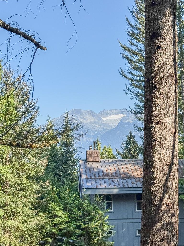 8232 Alpine Way image 1