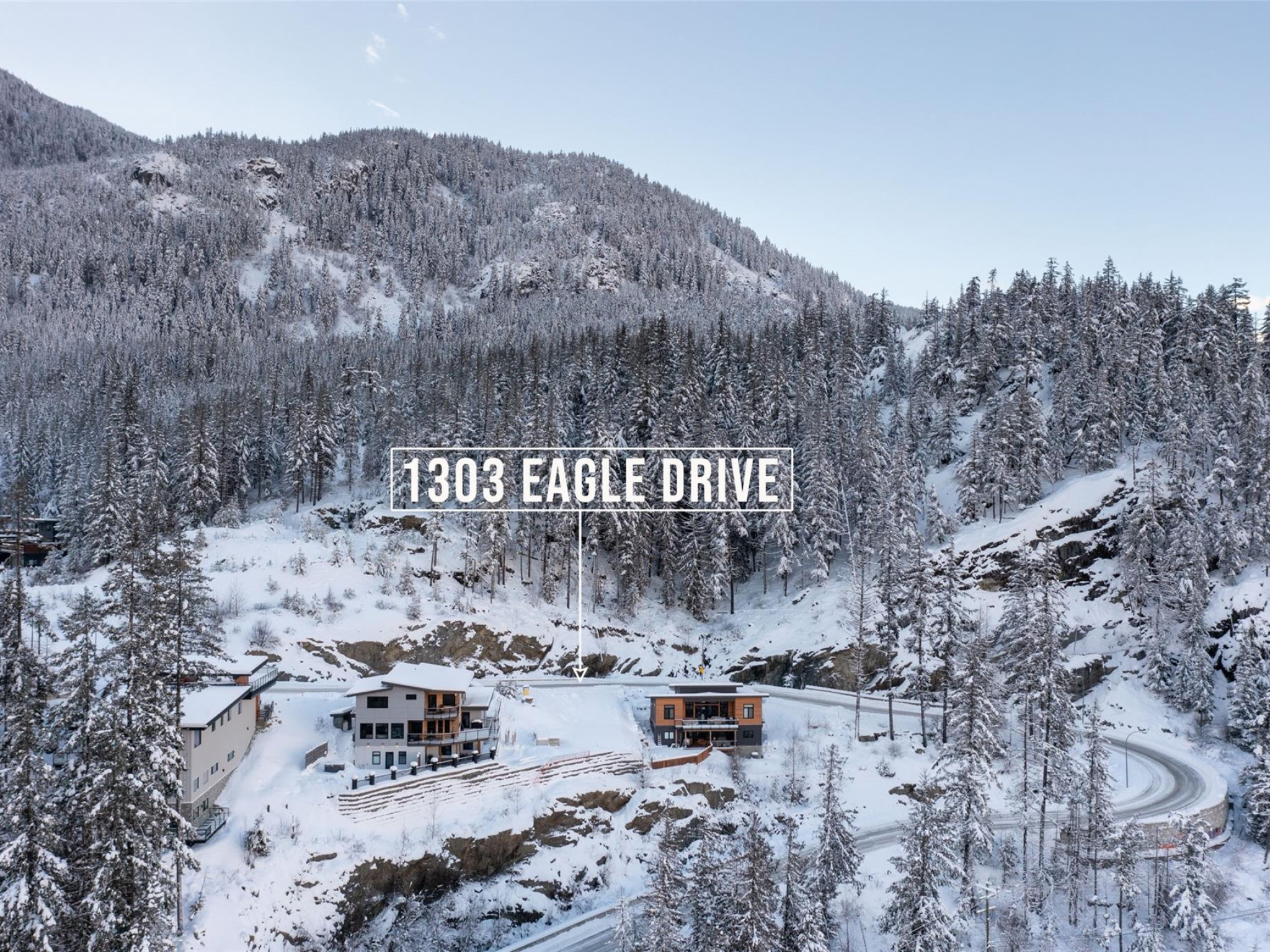 1303 Eagle Drive image 11