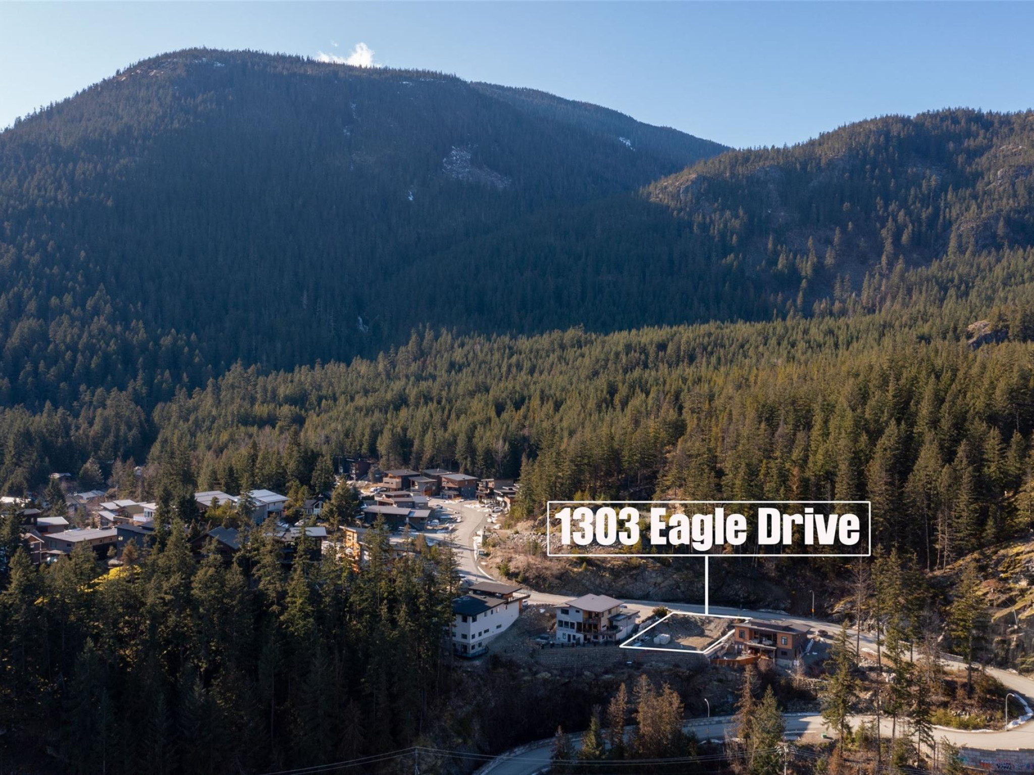 1303 Eagle Drive image 3