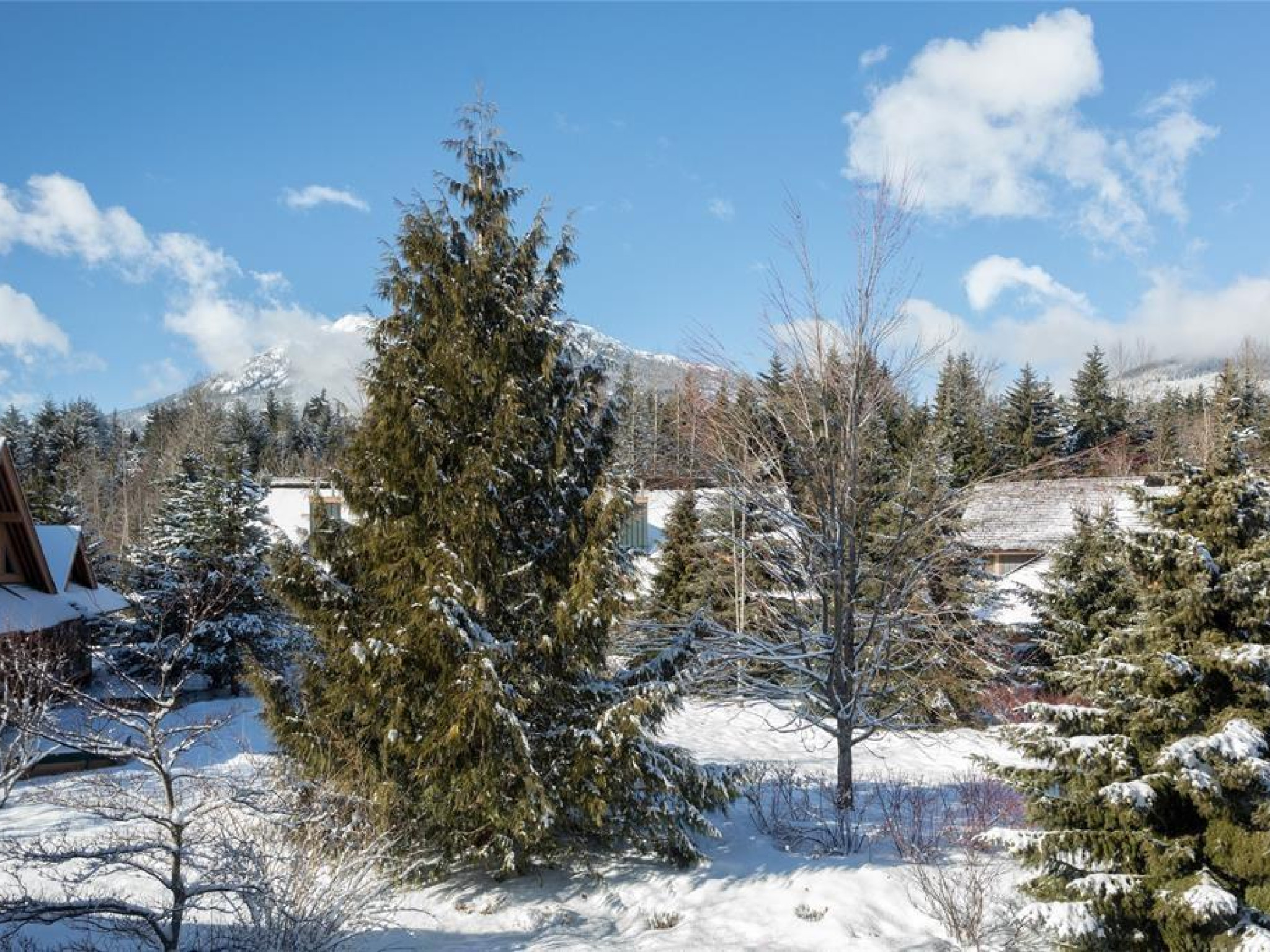 A-4743 Settebello Drive image 13