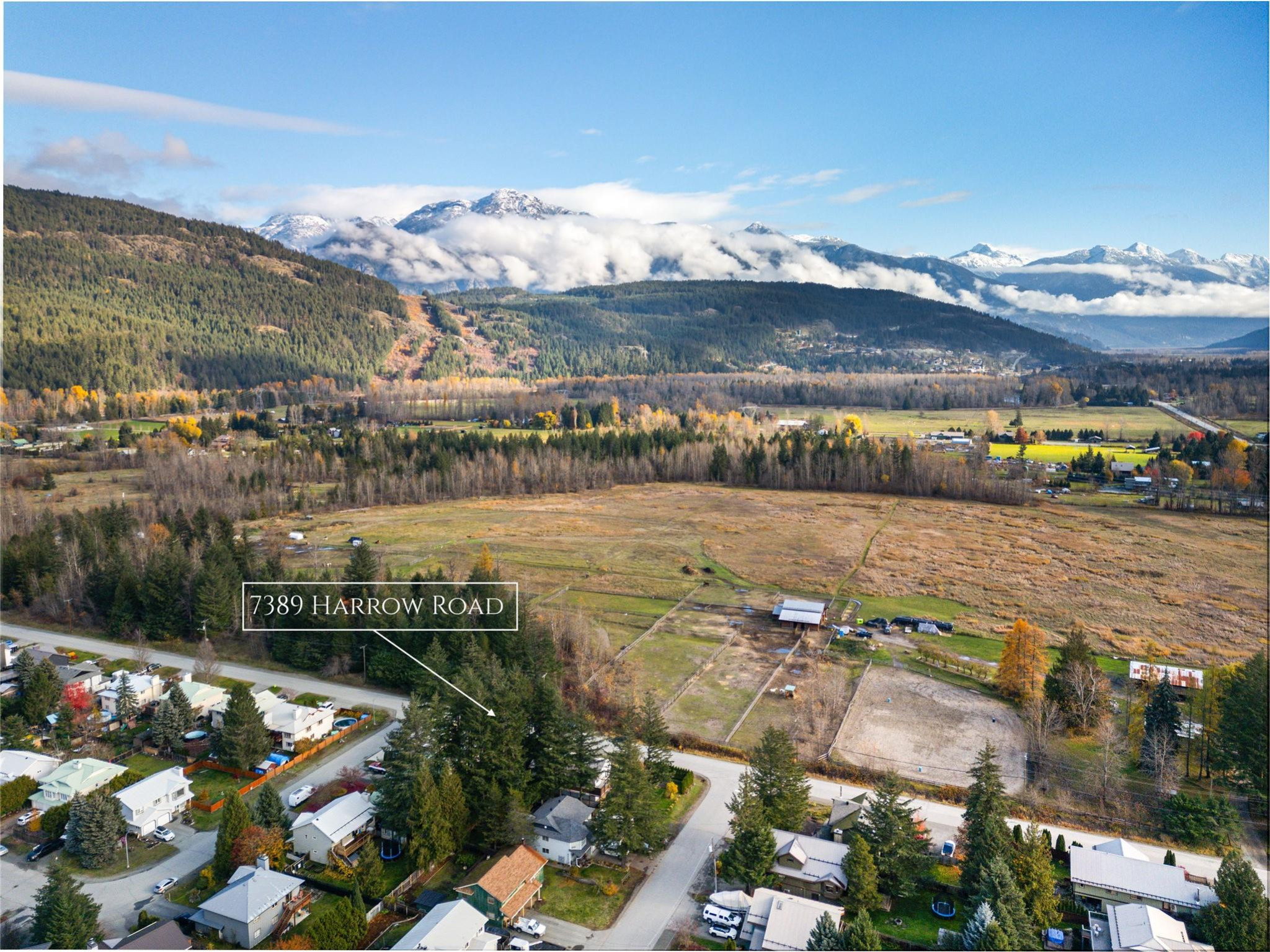 7389 Harrow Road image 38