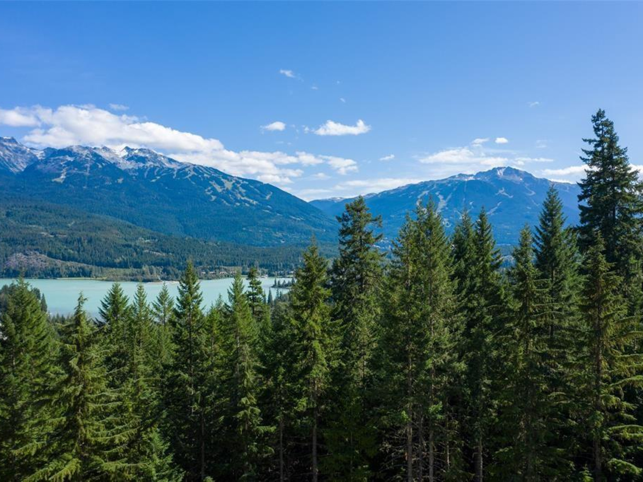 8566 Ashleigh Mclvor Drive image 2