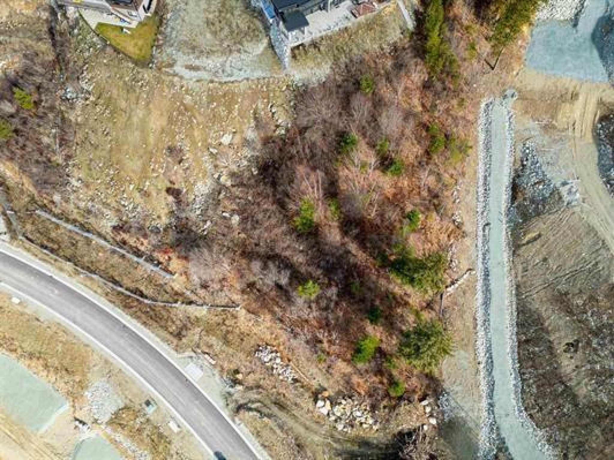 7682 Cerulean image 1