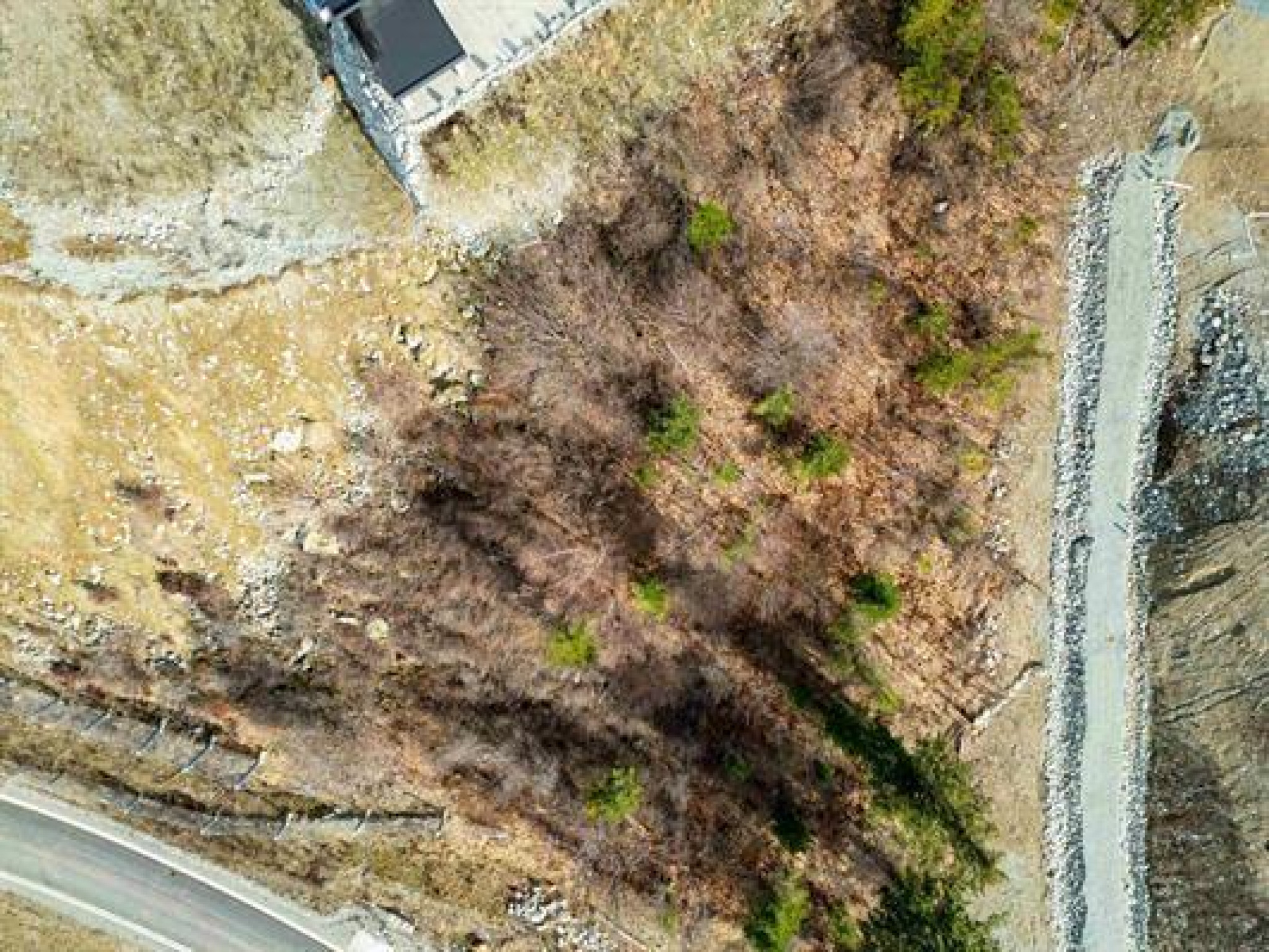 7682 Cerulean image 3