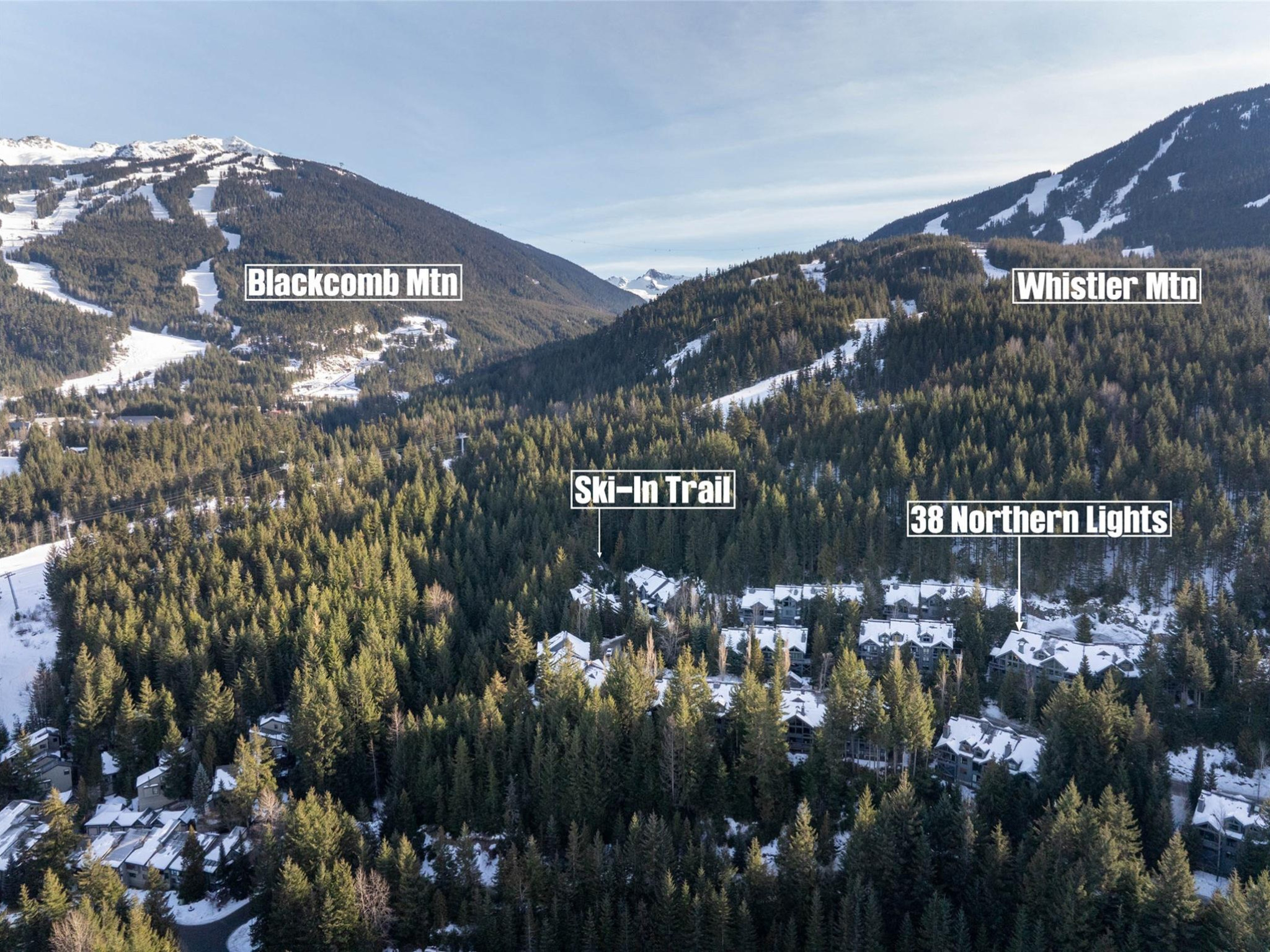 38-4150 Tantalus Drive image 22