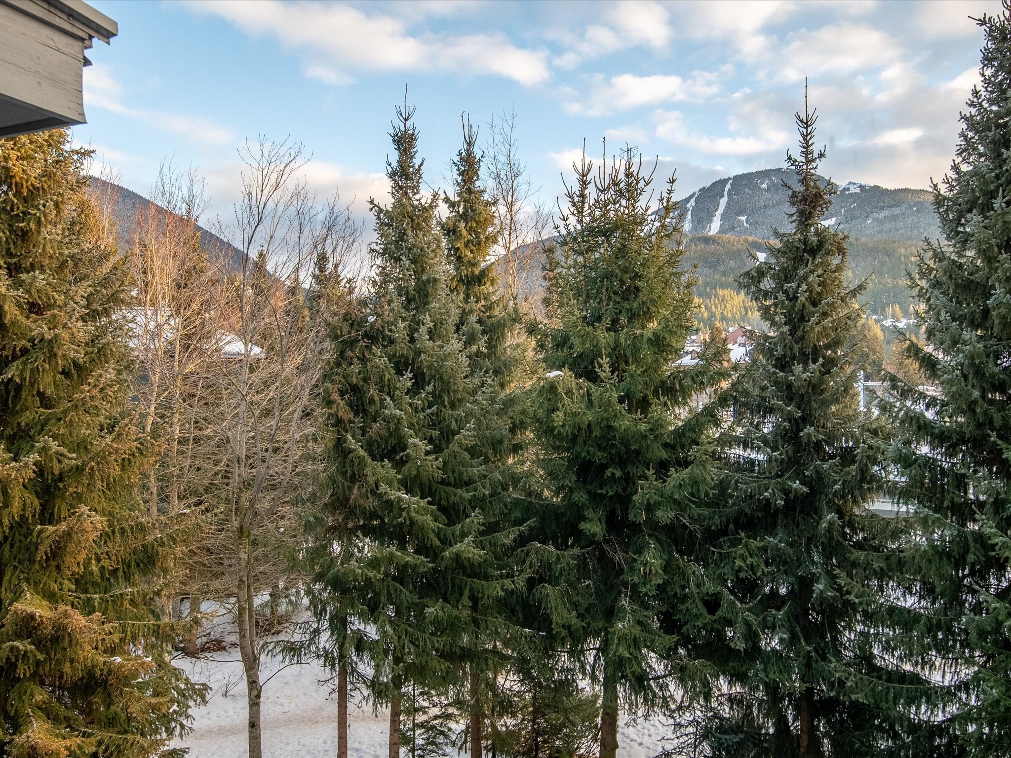 2315-4308 Main Street image 4