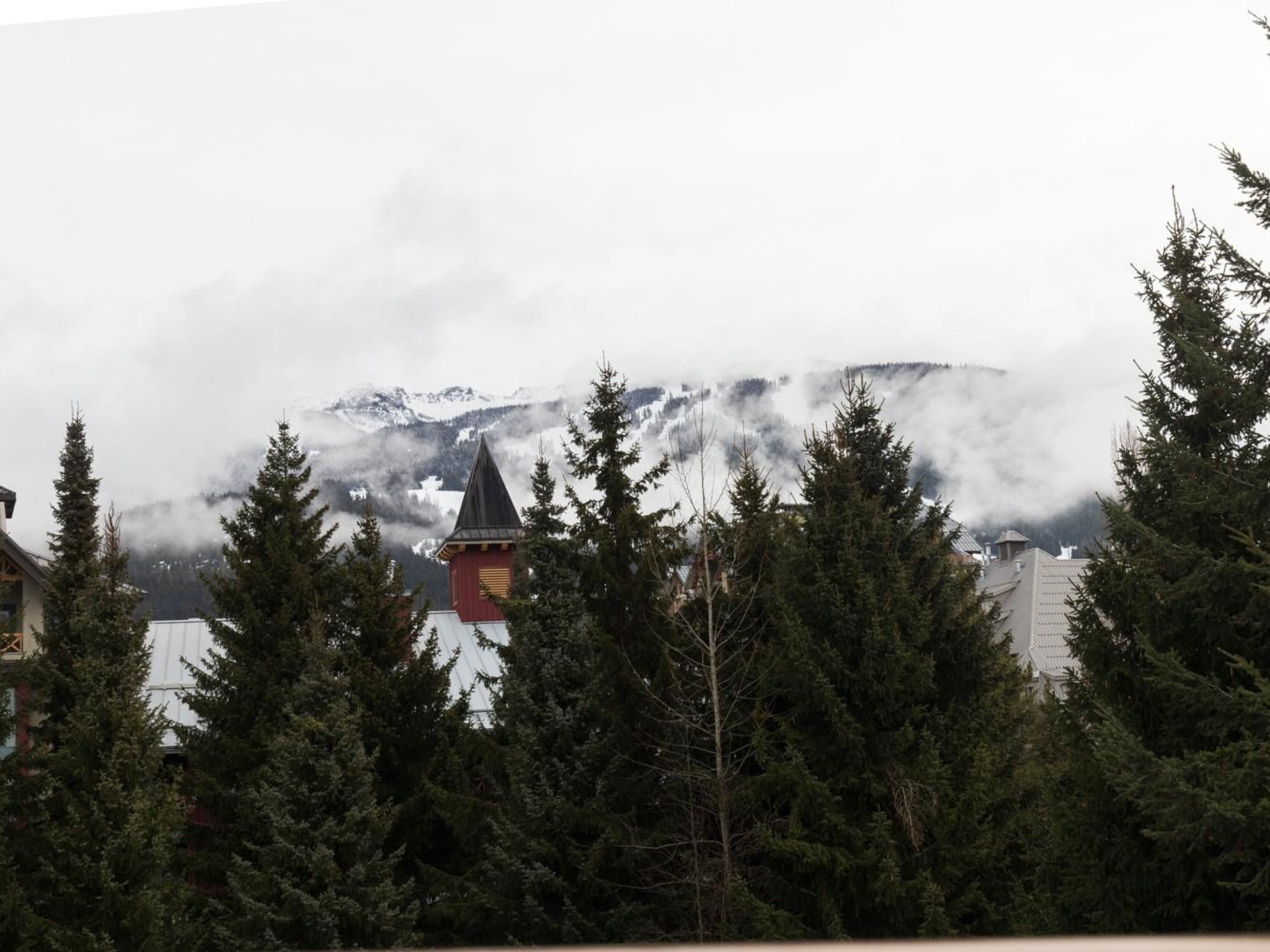 1461/1463-4308 Main Street image 9