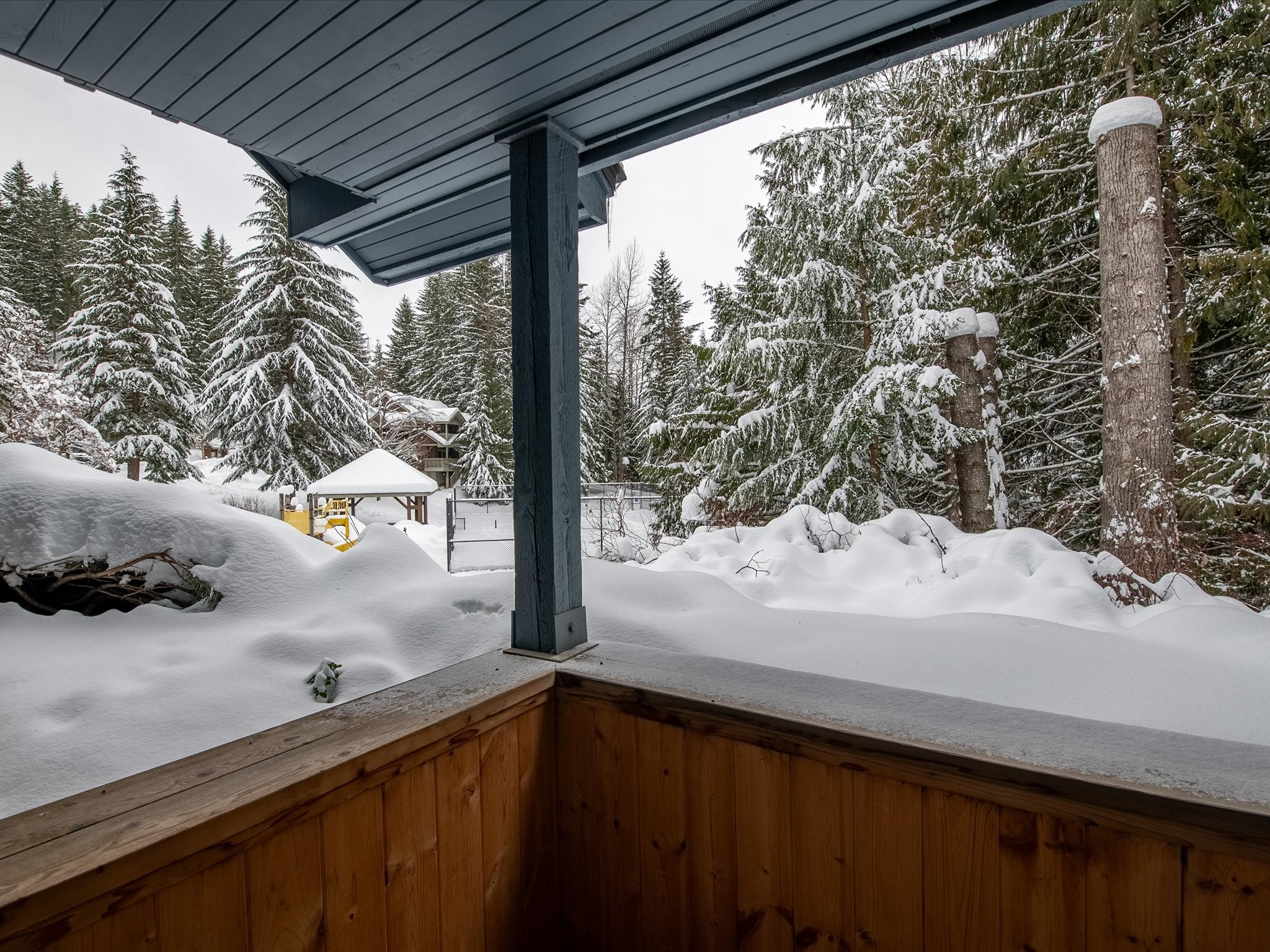 4-3102 Panorama Ridge image 13