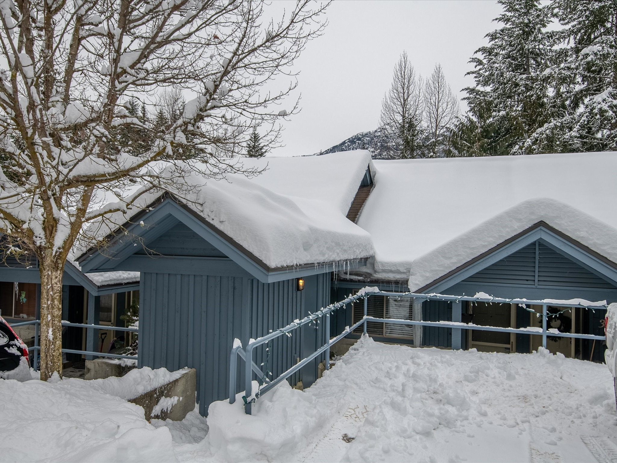 4-3102 Panorama Ridge image 20