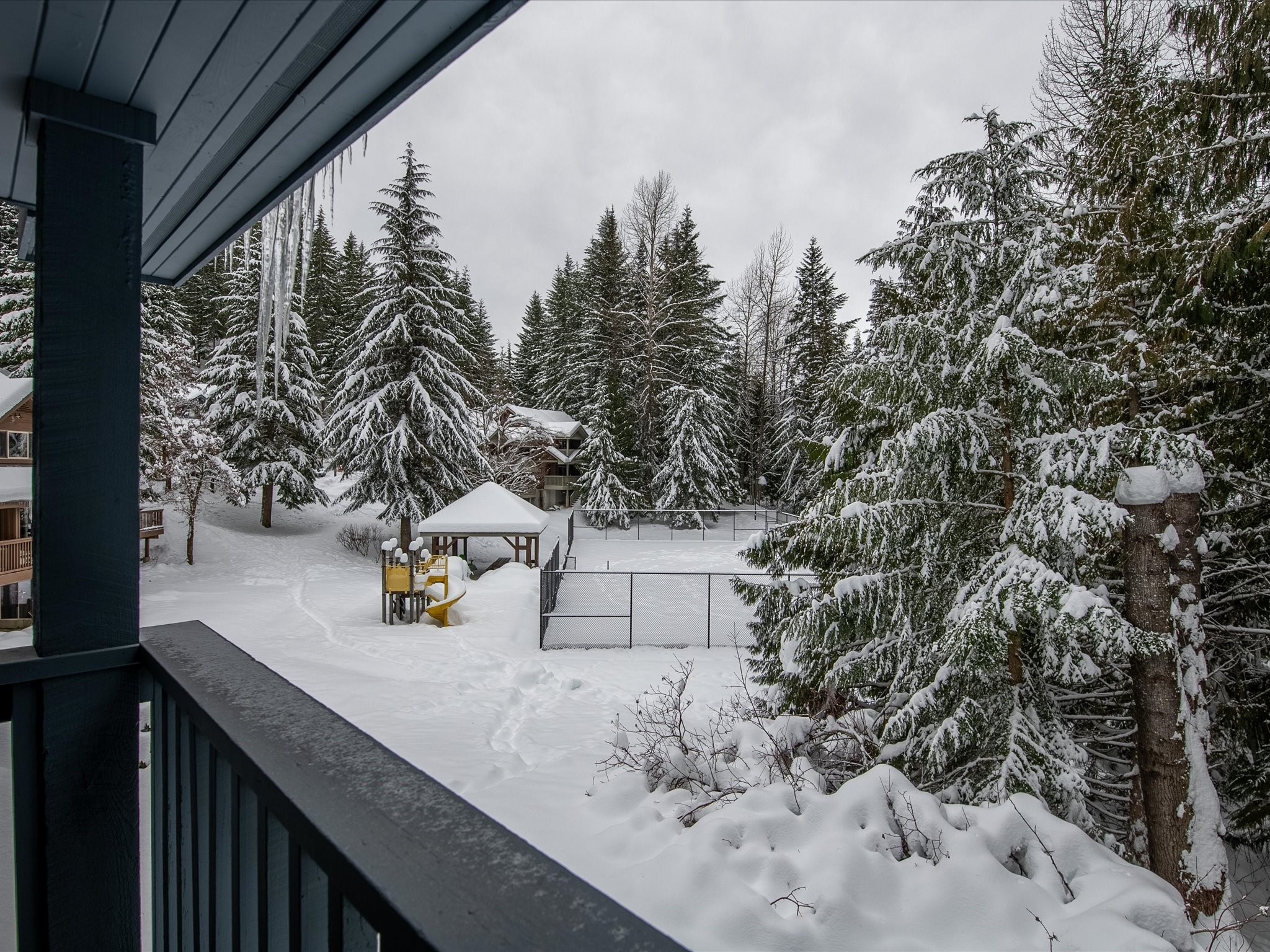 4-3102 Panorama Ridge image 8