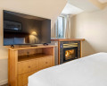 419-4295 Blackcomb Way image 16