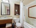 419-4295 Blackcomb Way image 6
