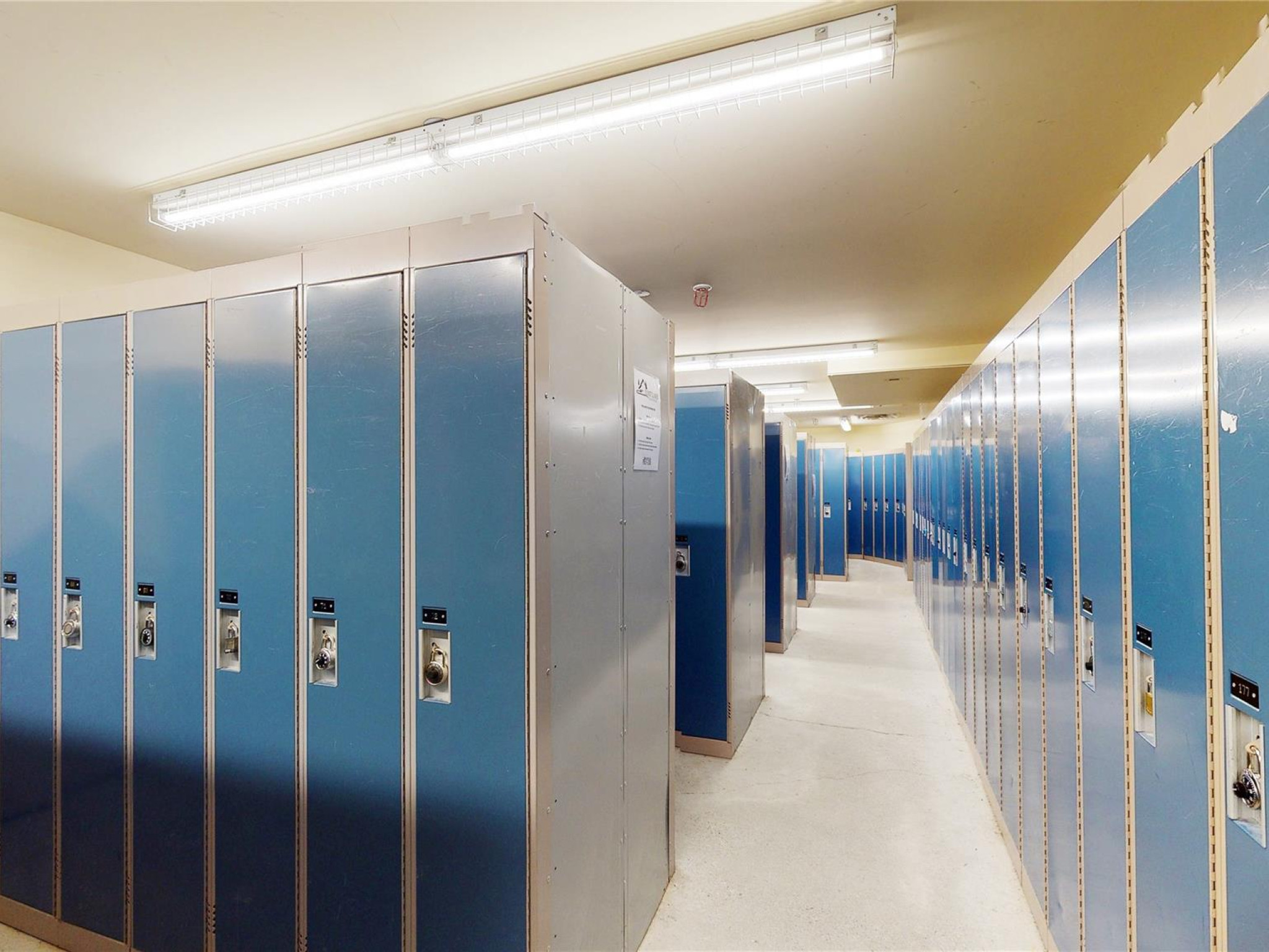 421-4660 Blackcomb Way image 30