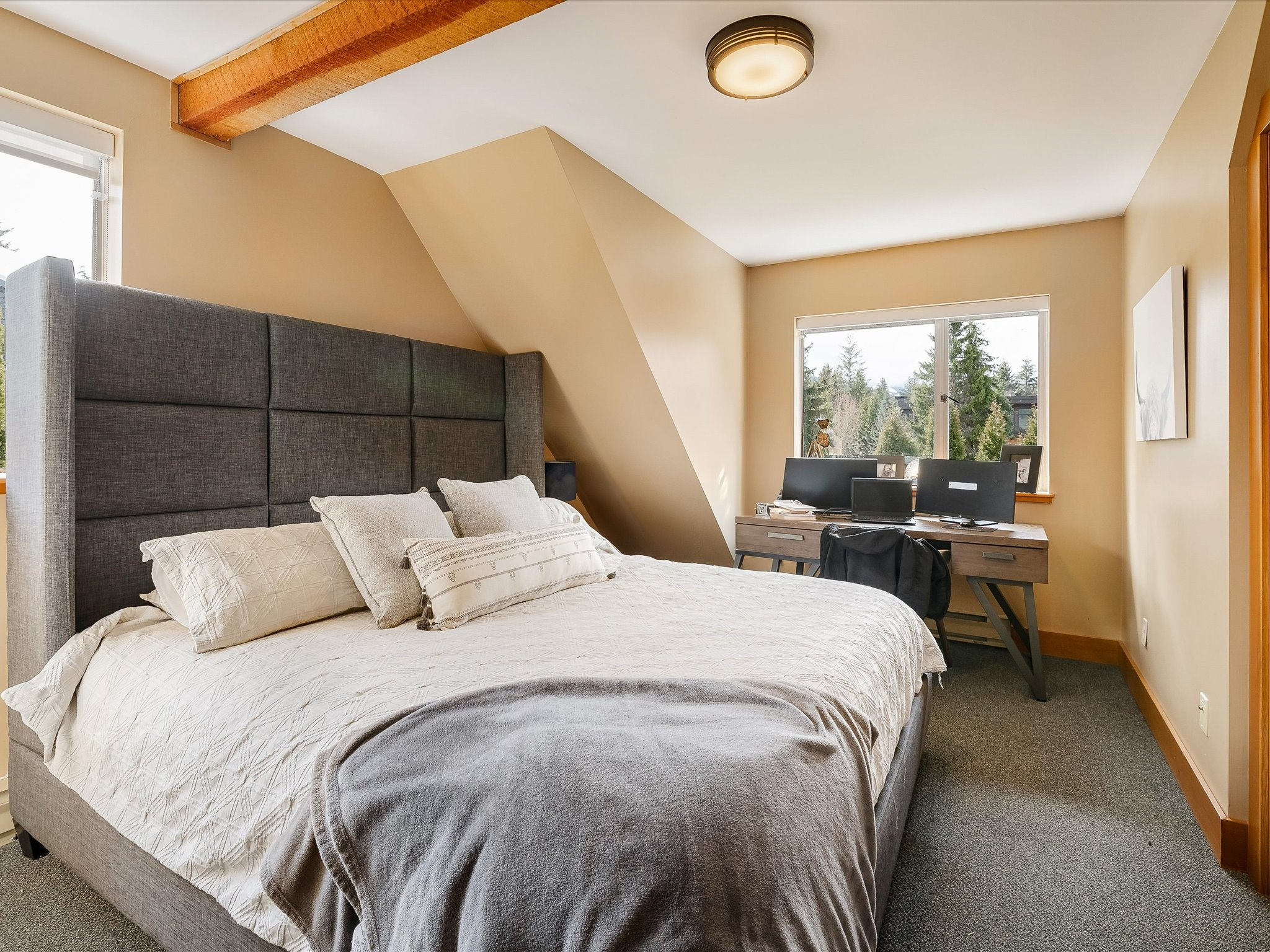 6436 Toad Hollow image 11