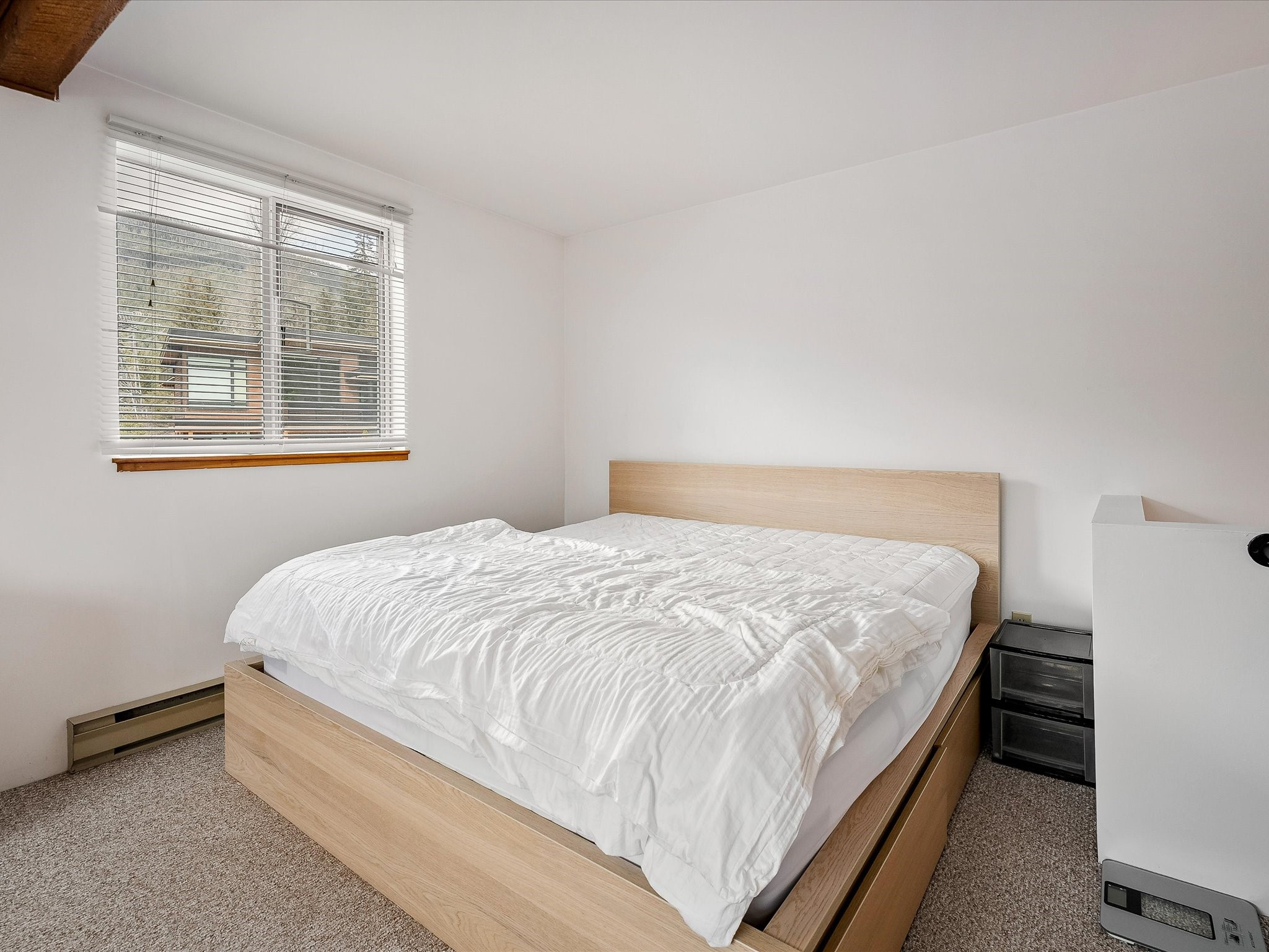 6436 Toad Hollow image 24