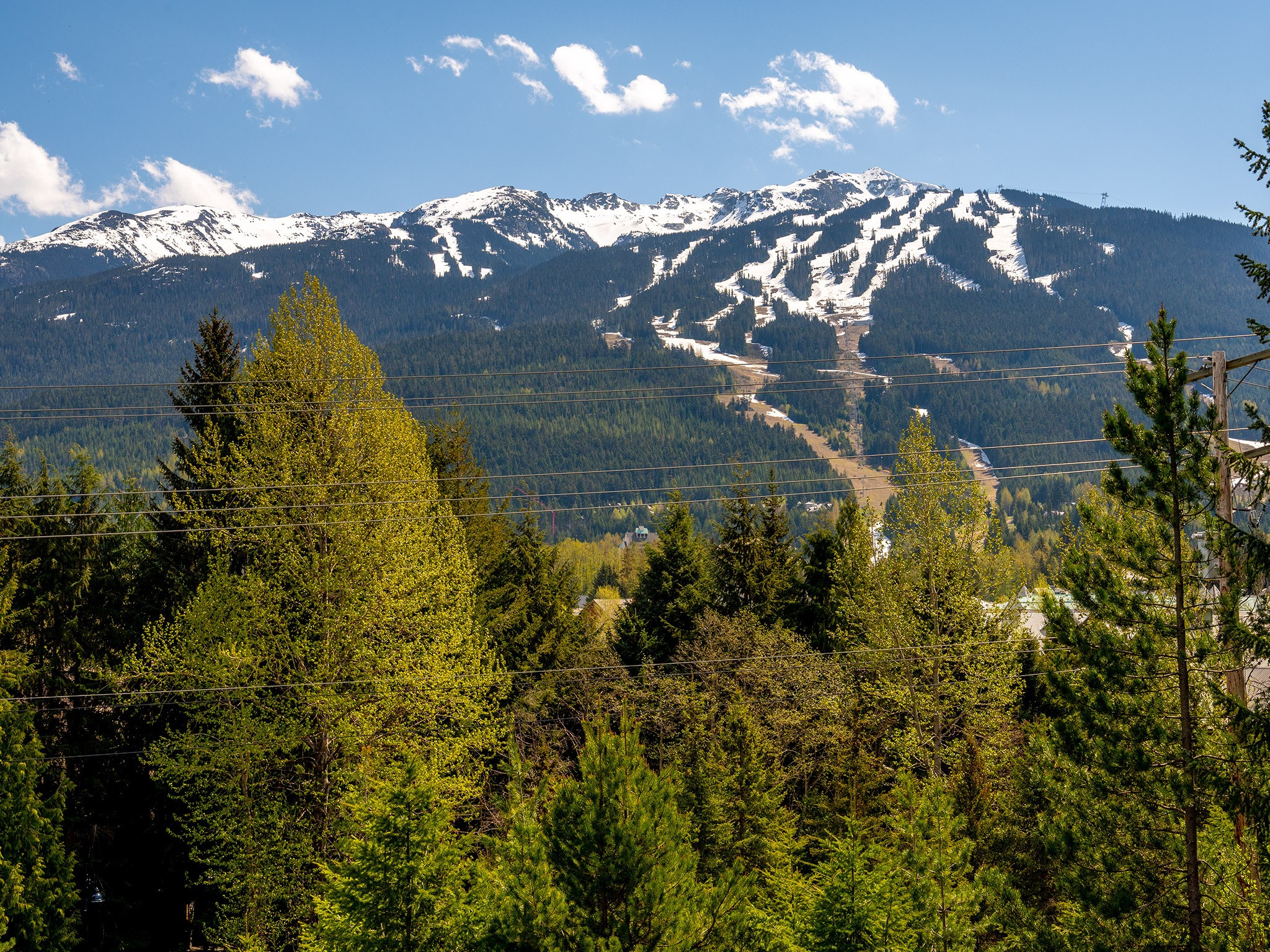 6187 Eagle Drive image 24