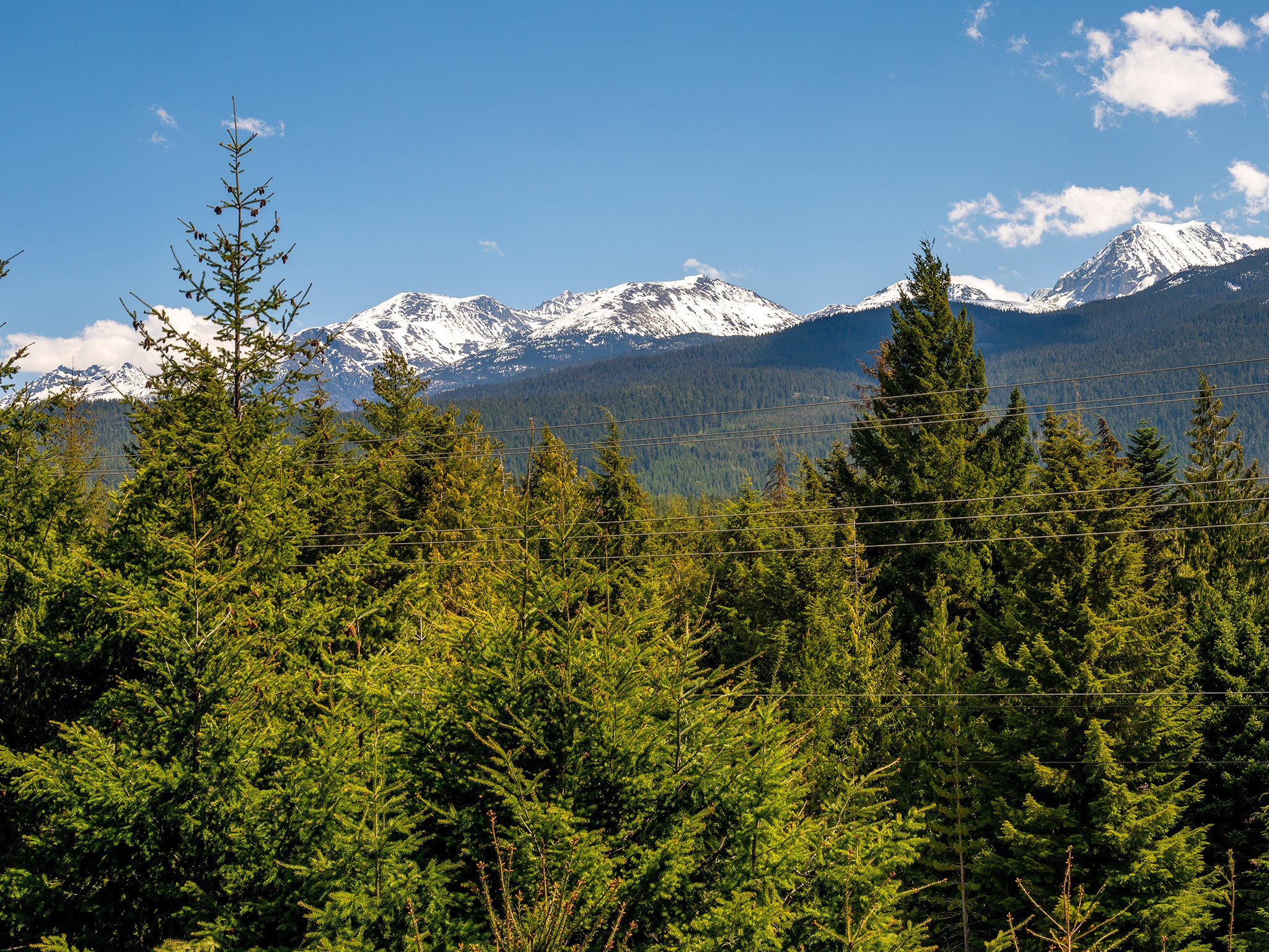 6187 Eagle Drive image 25