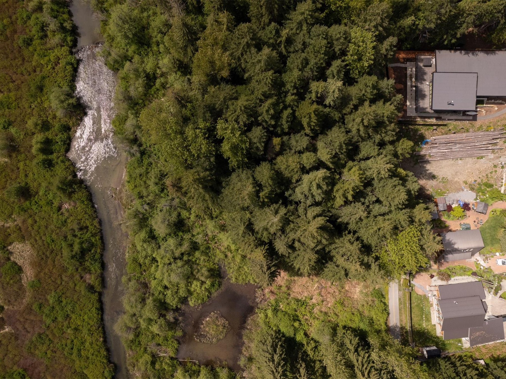 8354 Rainbow Drive image 3