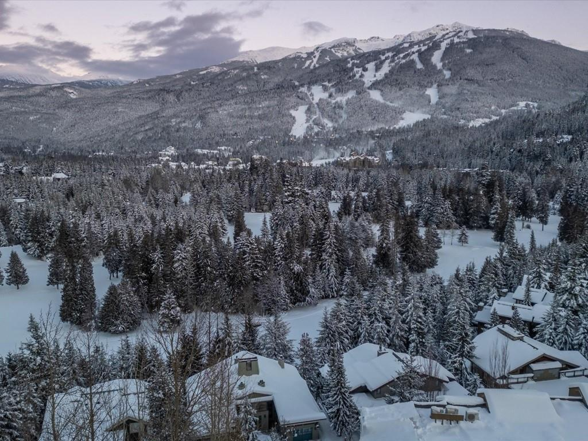 3359 Osprey Place image 28