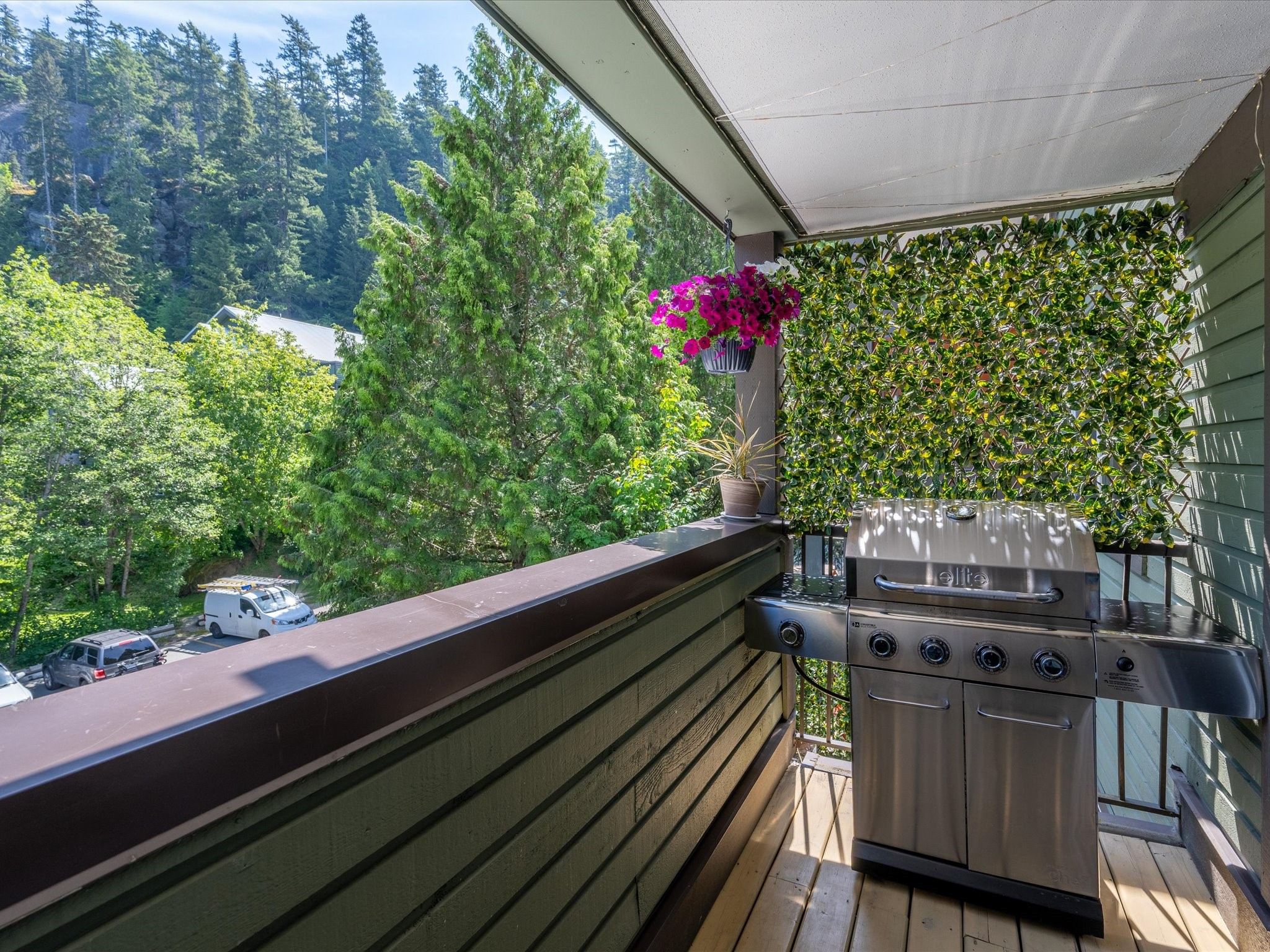 217-2007 Nordic Place image 3