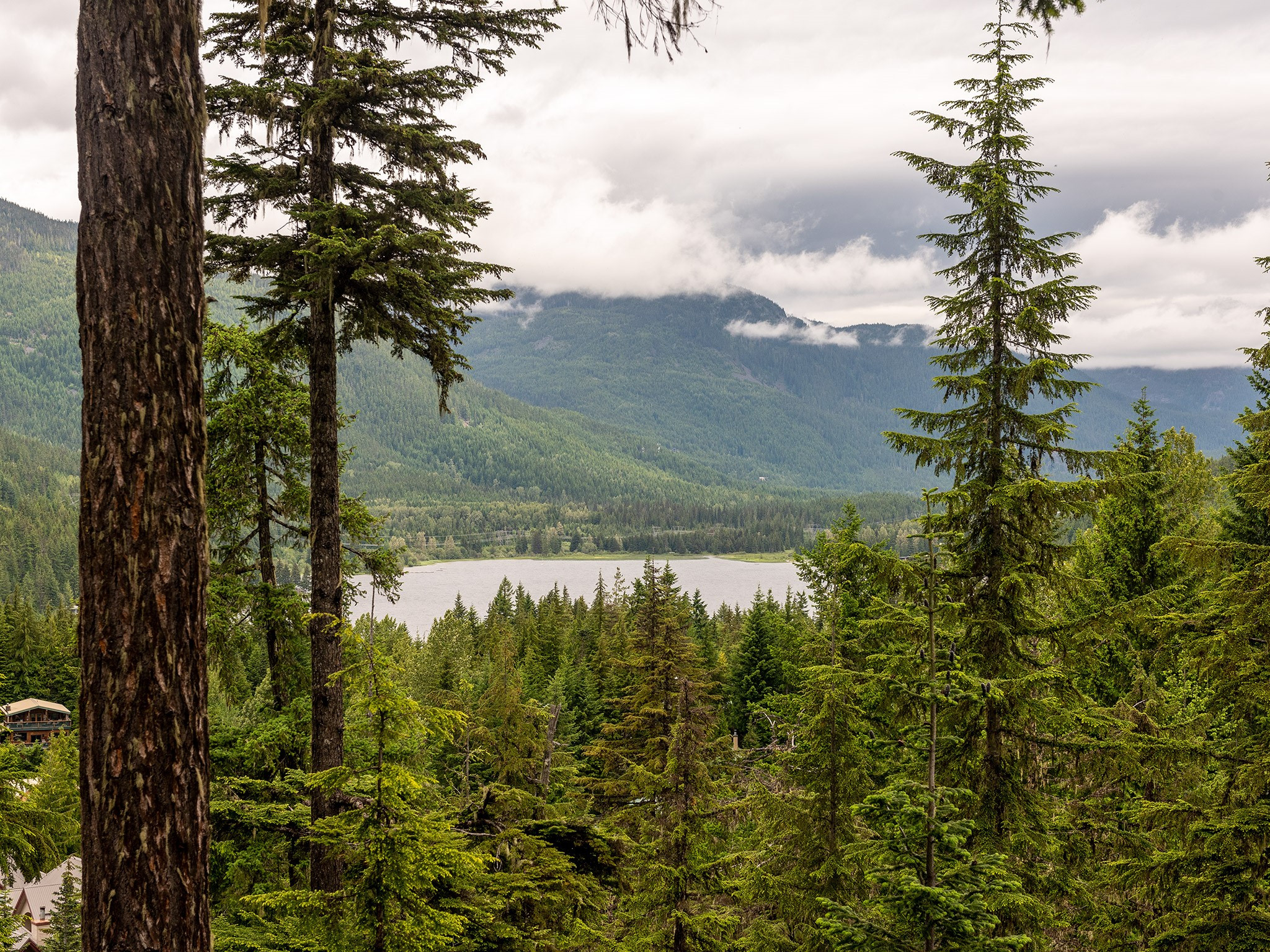 2710 Rimrock Road image 7