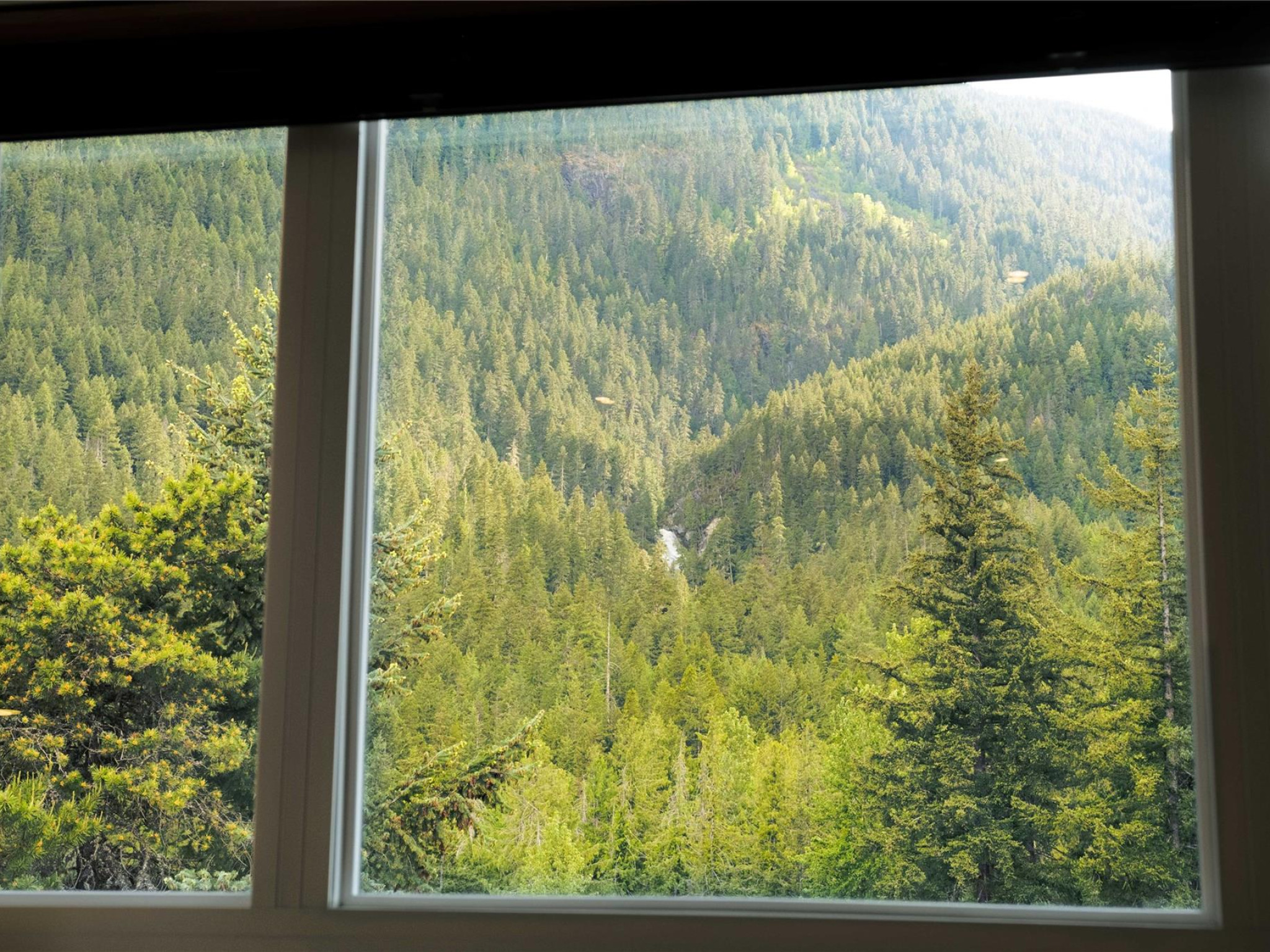 7456 Dogwood Street image 17