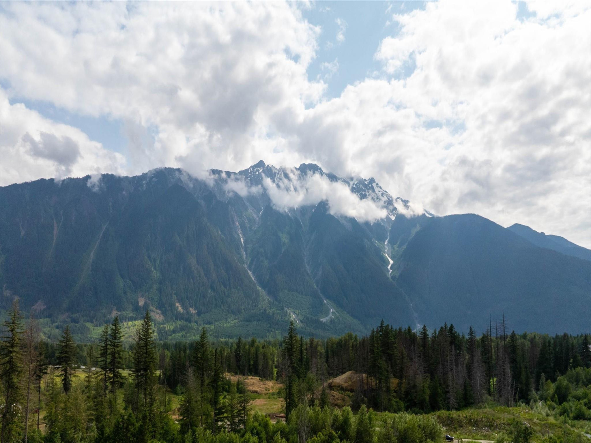 7661 Cerulean Drive image 4