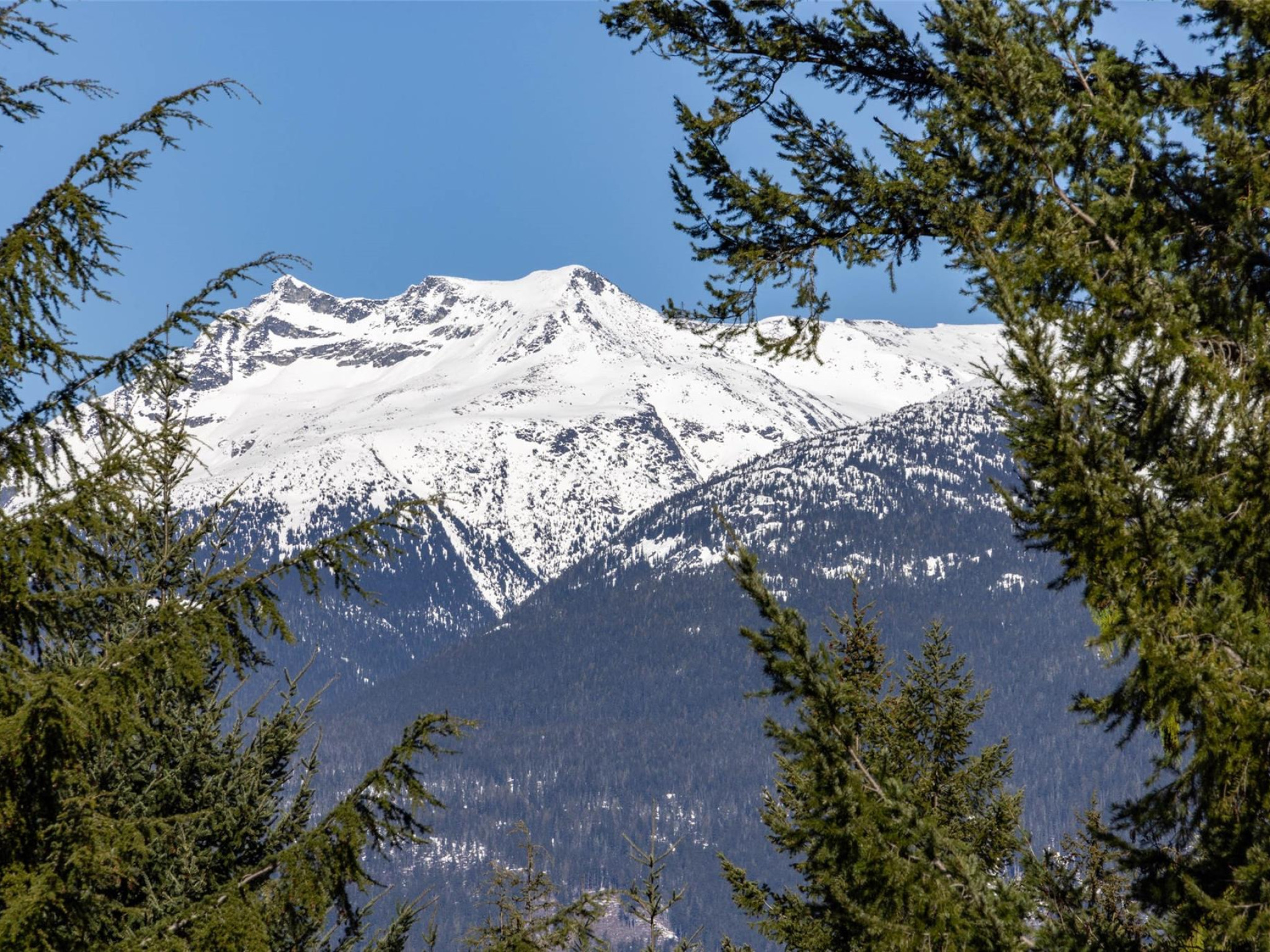 8476 Matterhorn Drive image 15